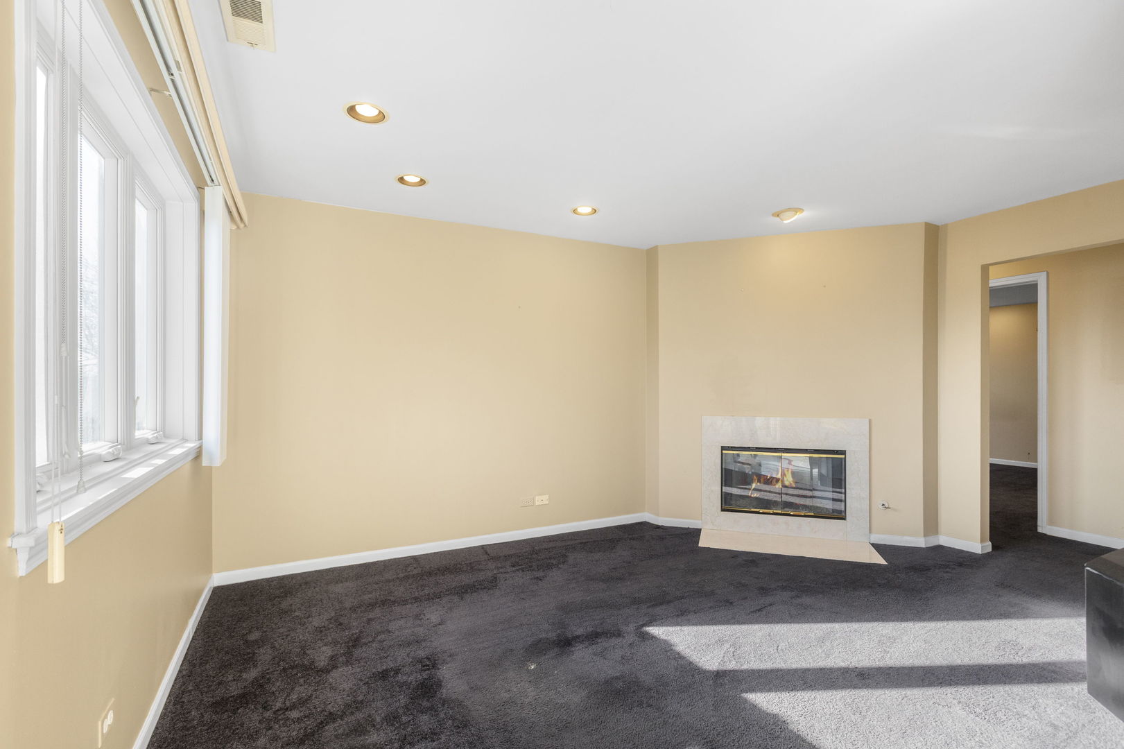 400 East Dundee Road, Unit 403C Buffalo Grove, IL 60089 - Photo 10 of 20 a living room with a fireplace and a window