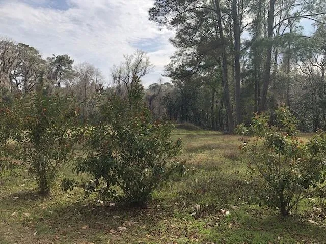 $169,900 | Lot 16 Bellac Road, Tallahassee, FL 32303
