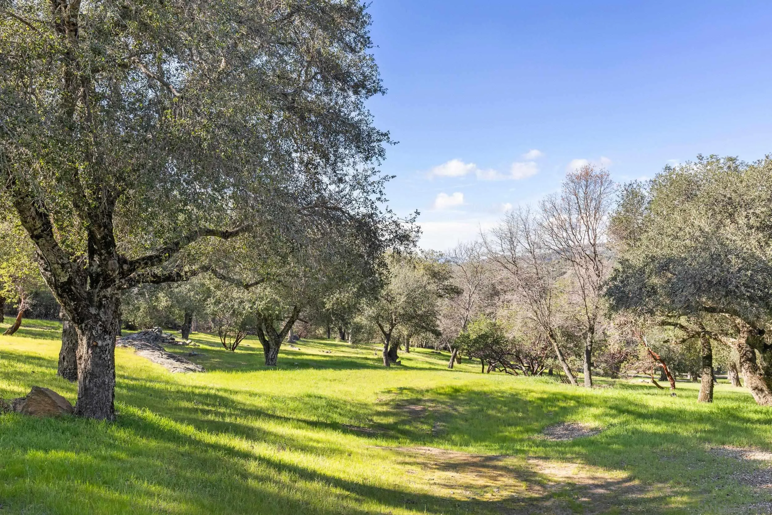 3591 Deer Lake Park Road Julian, CA 92036 - Photo 46 of 68