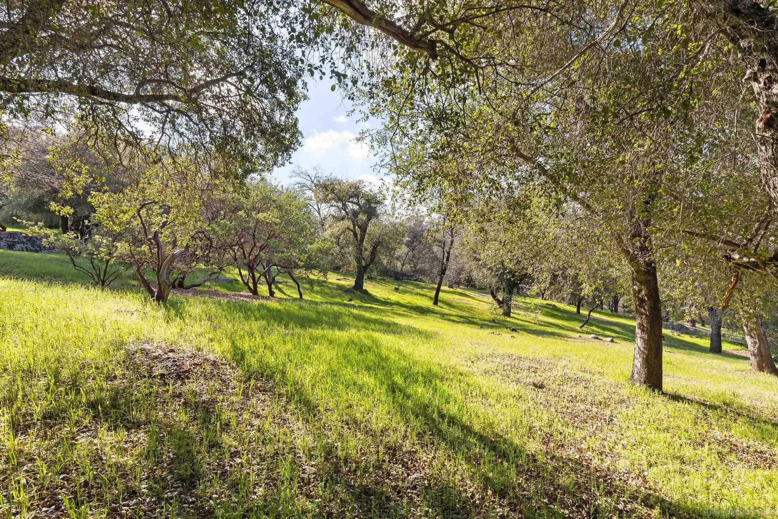 3591 Deer Lake Park Road Julian, CA 92036 - Photo 47 of 68