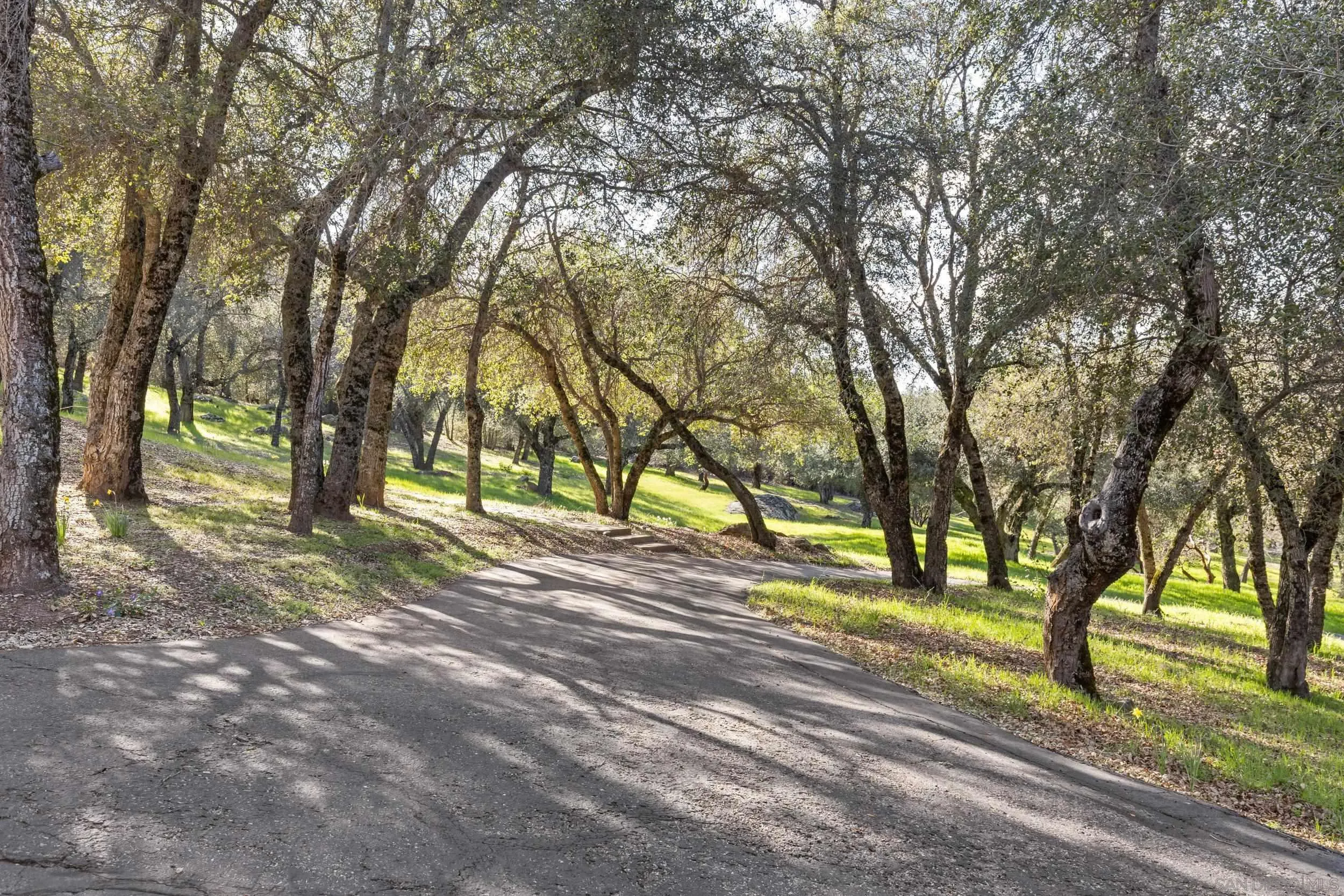 3591 Deer Lake Park Road Julian, CA 92036 - Photo 57 of 68