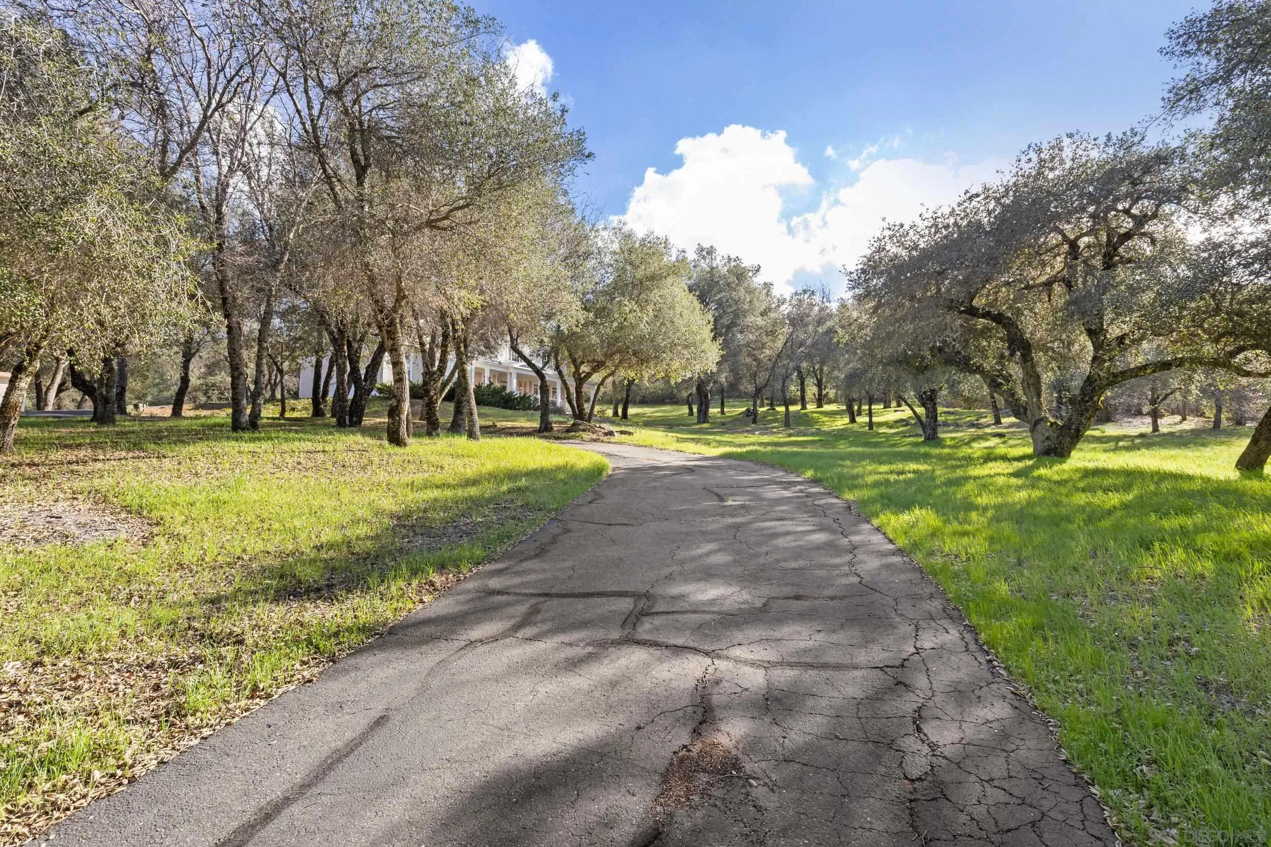 3591 Deer Lake Park Road Julian, CA 92036 - Photo 58 of 68