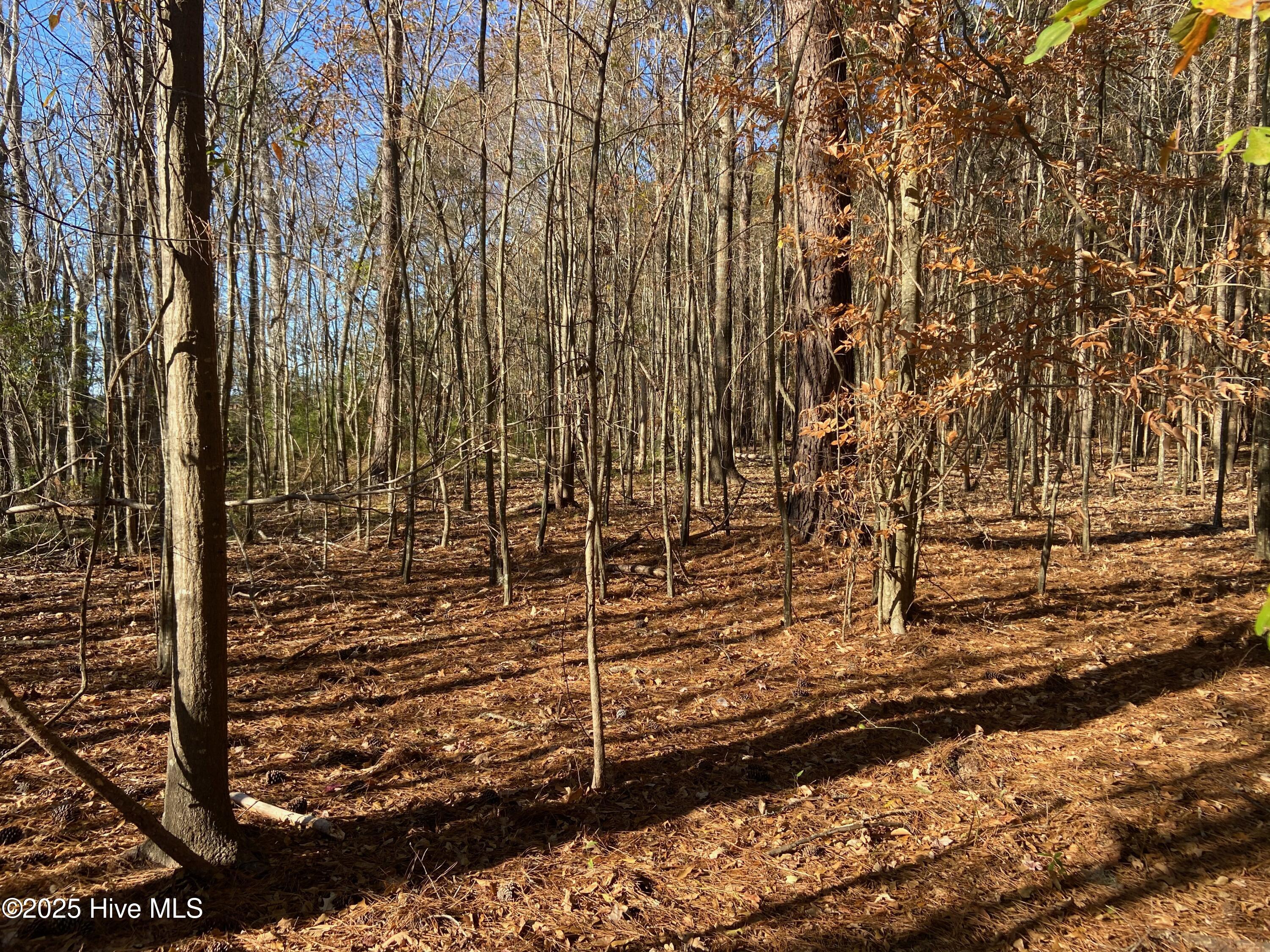 0 Harvest Point Road Elizabeth City, NC 27909 - Photo 31 of 38 IMG_7545