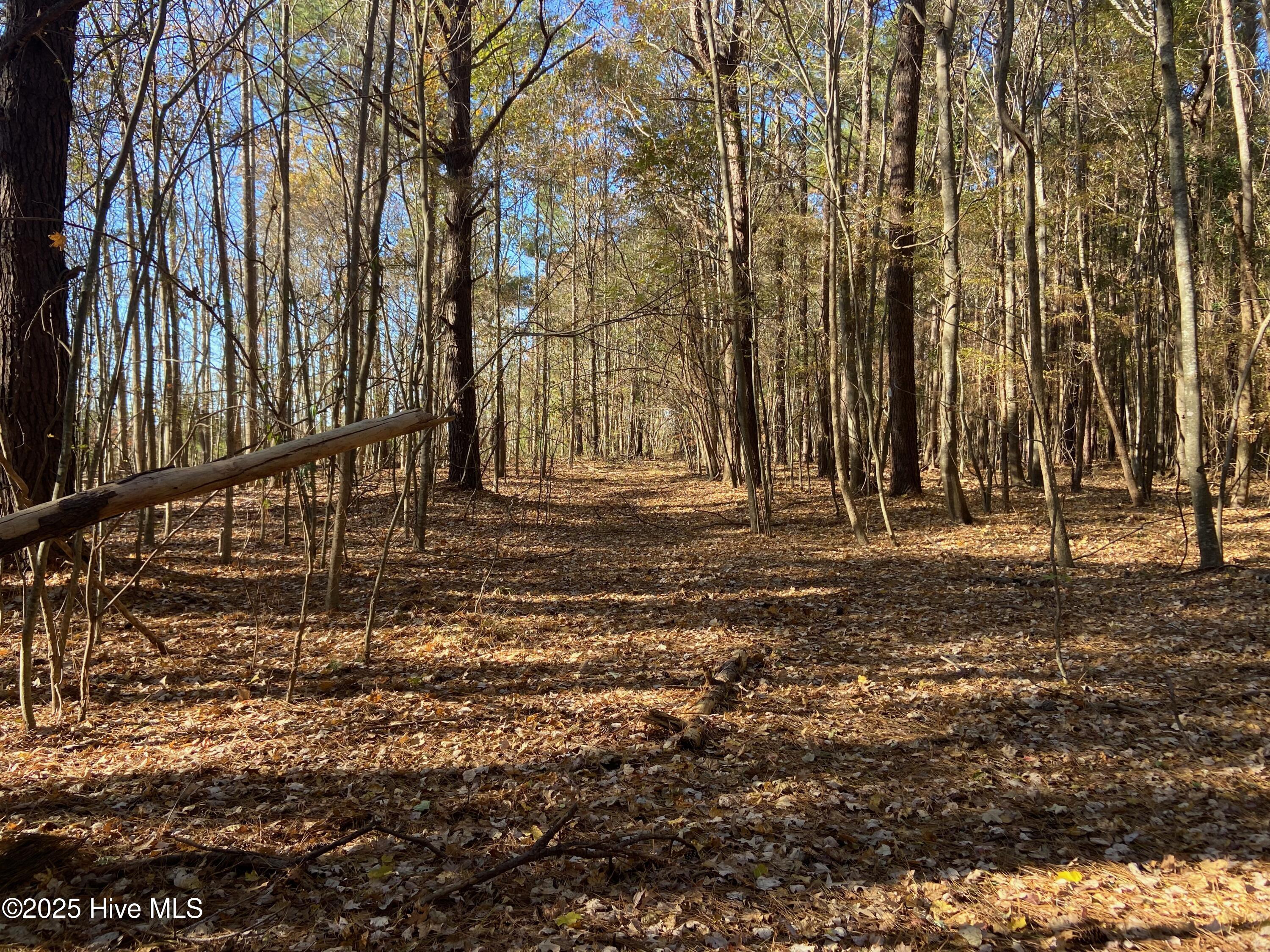 0 Harvest Point Road Elizabeth City, NC 27909 - Photo 32 of 38 IMG_7546