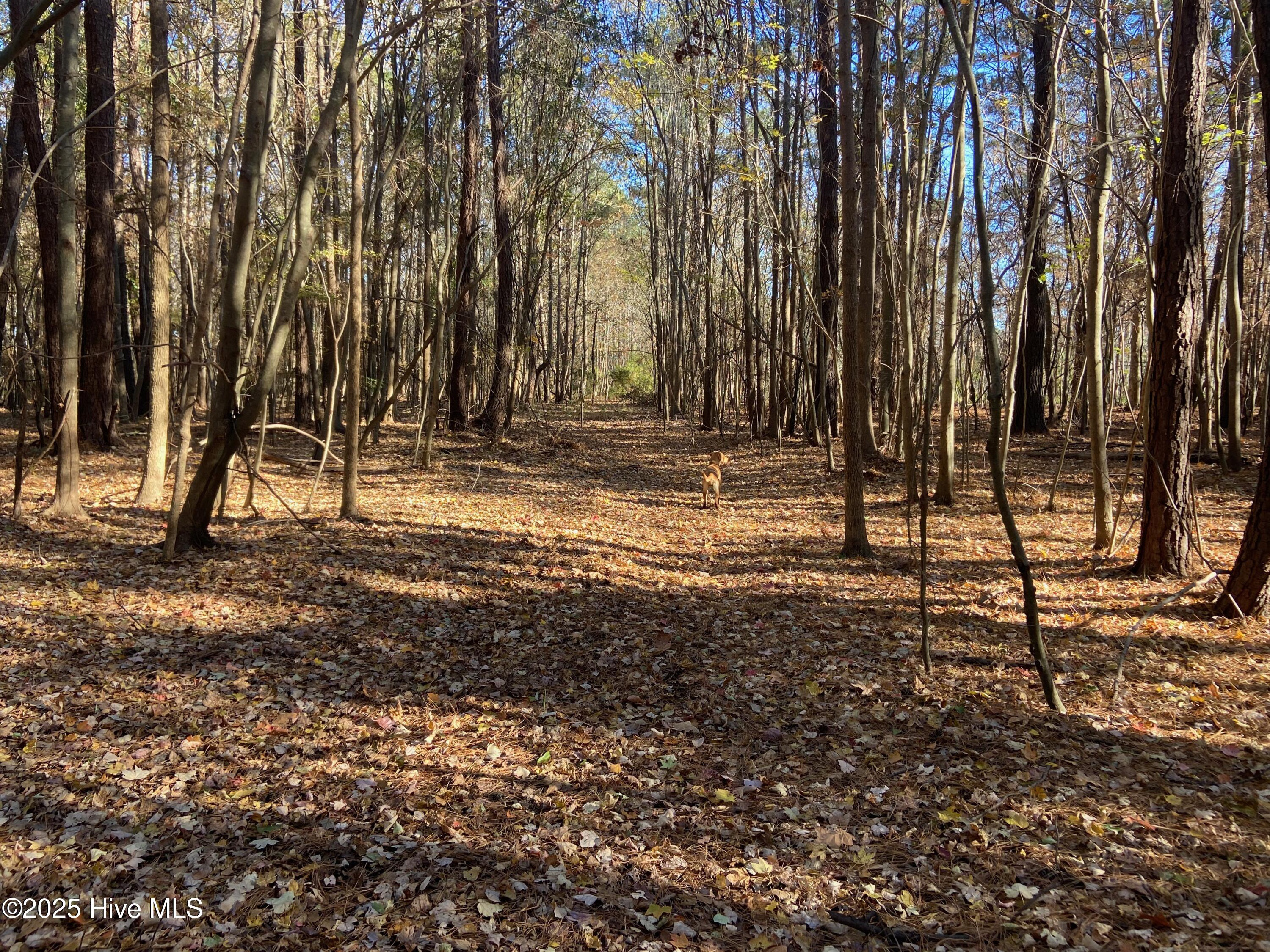 0 Harvest Point Road Elizabeth City, NC 27909 - Photo 33 of 38 IMG_7547