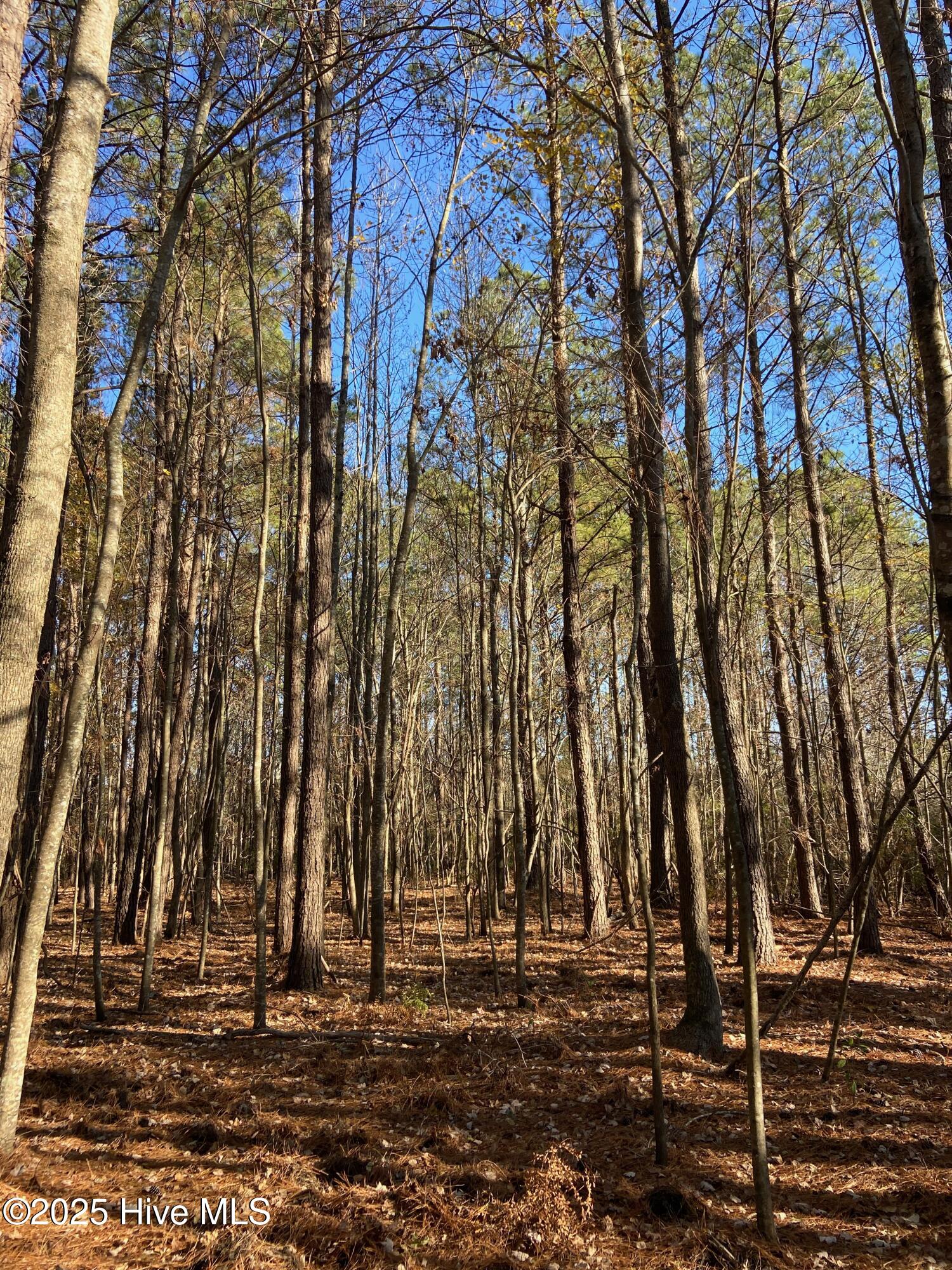 0 Harvest Point Road Elizabeth City, NC 27909 - Photo 34 of 38 IMG_7548