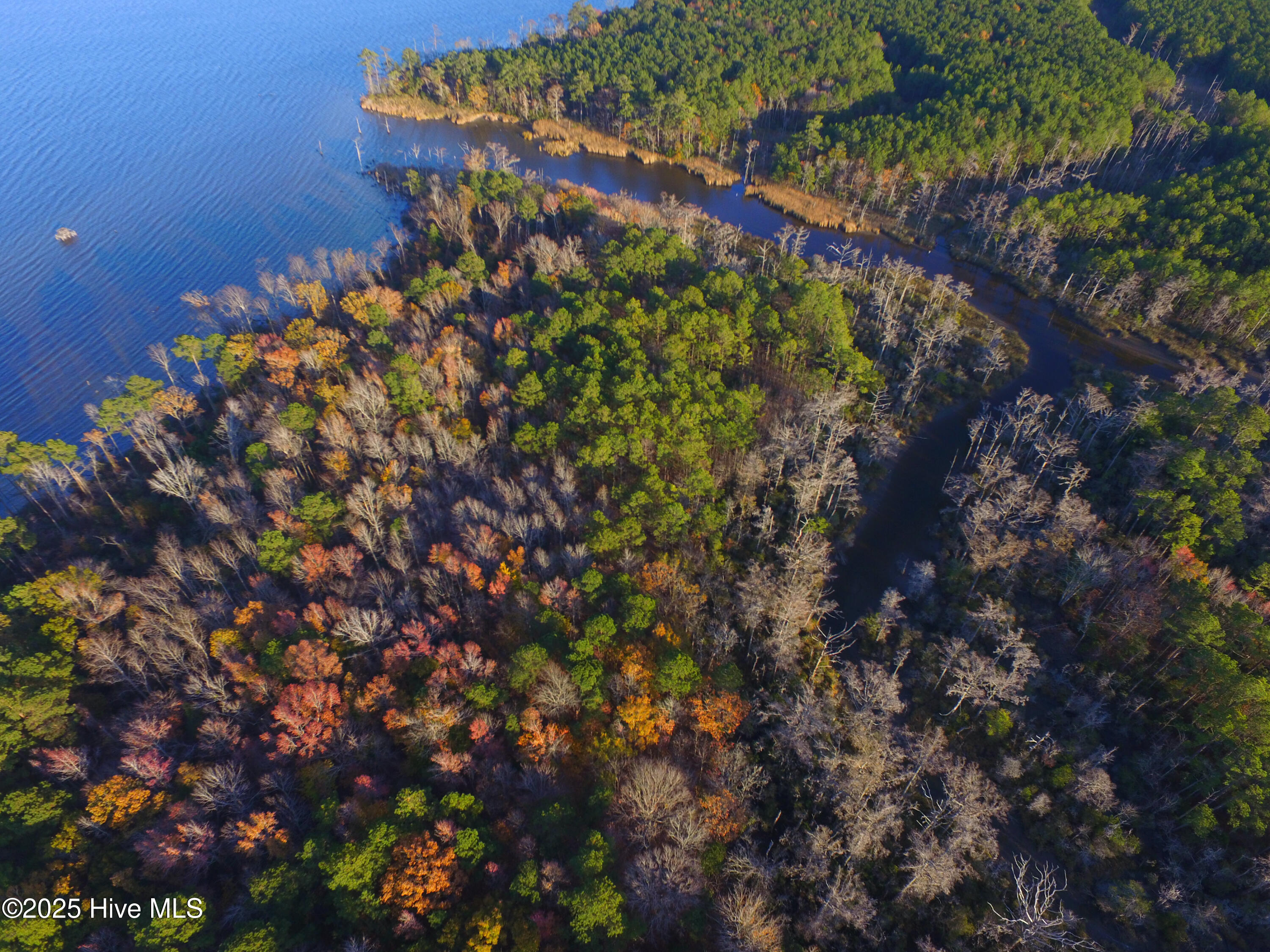 0 Harvest Point Road Elizabeth City, NC 27909 - Photo 5 of 38 IMG_1069