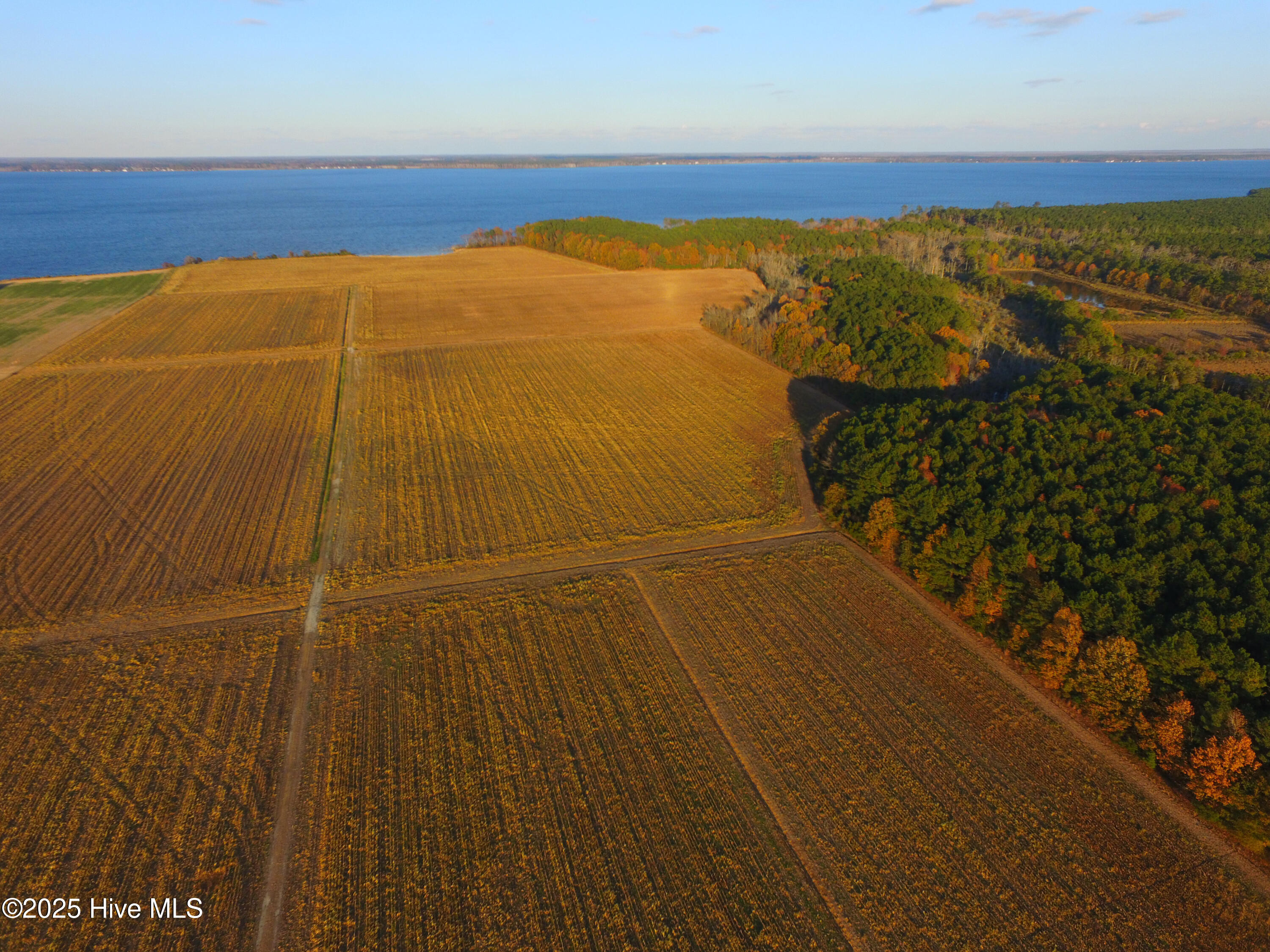 0 Harvest Point Road Elizabeth City, NC 27909 - Photo 8 of 38 IMG_1072