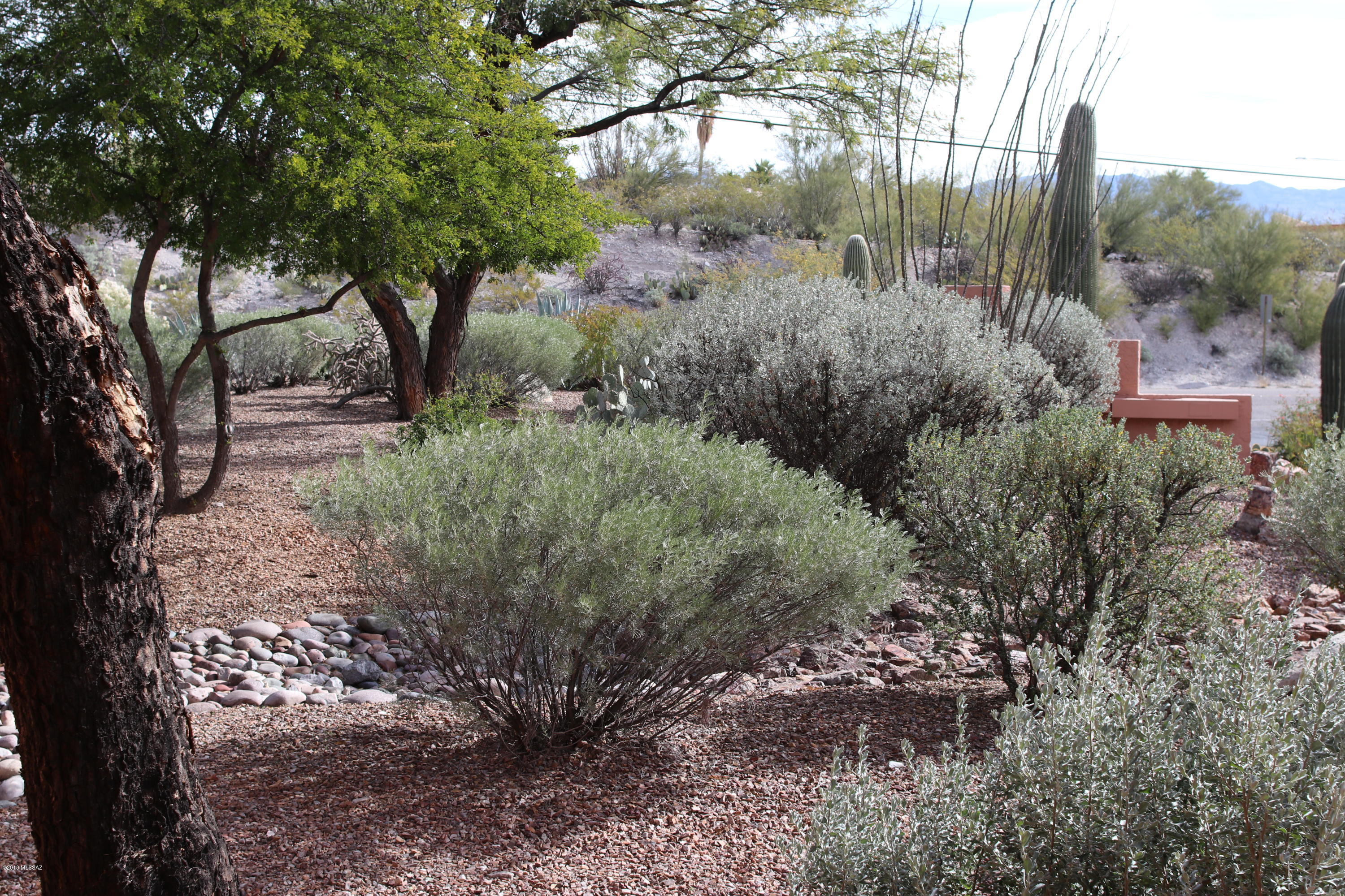 5051 North Sabino Canyon Road, Unit 1101 Tucson, AZ 85750 - Photo 22 of 36
