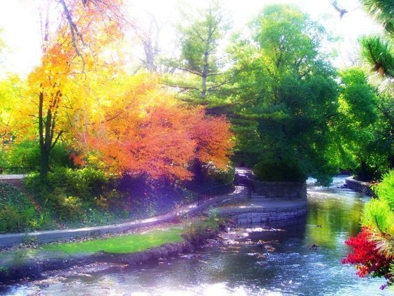 1033 Emerald Drive Naperville, IL 60540 - Photo 13 of 13 a view of a yard with plants and large trees