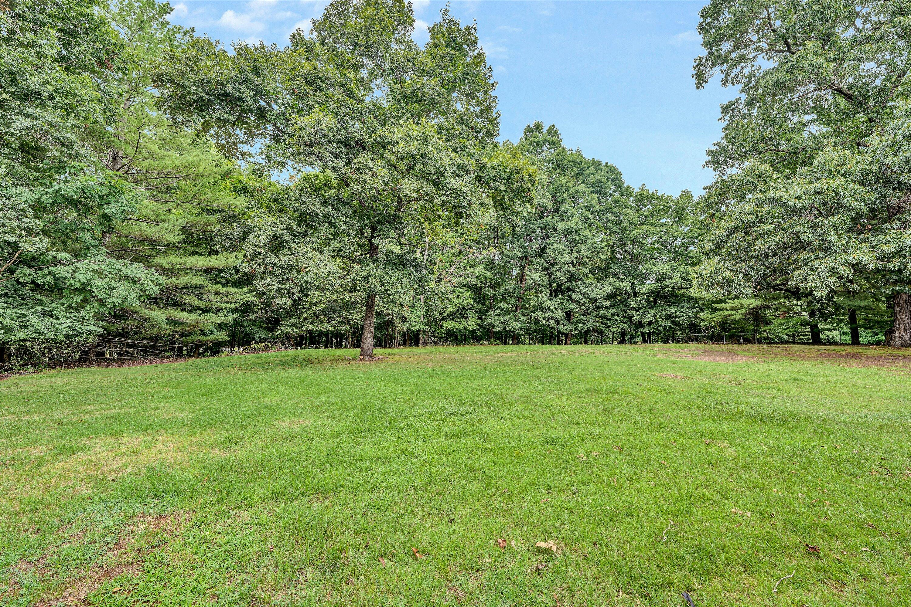 517 Blue Ridge Drive Blue Ridge, VA 24064 - Photo 42 of 43 37-DSC00073