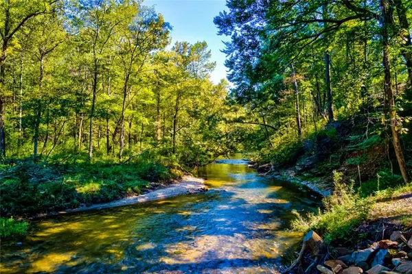 $6,500 | 380 Biguns Boulevard, Talking Rock, GA 30175