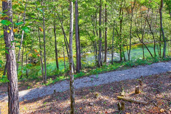$6,500 | 380 Biguns Boulevard, Talking Rock, GA 30175
