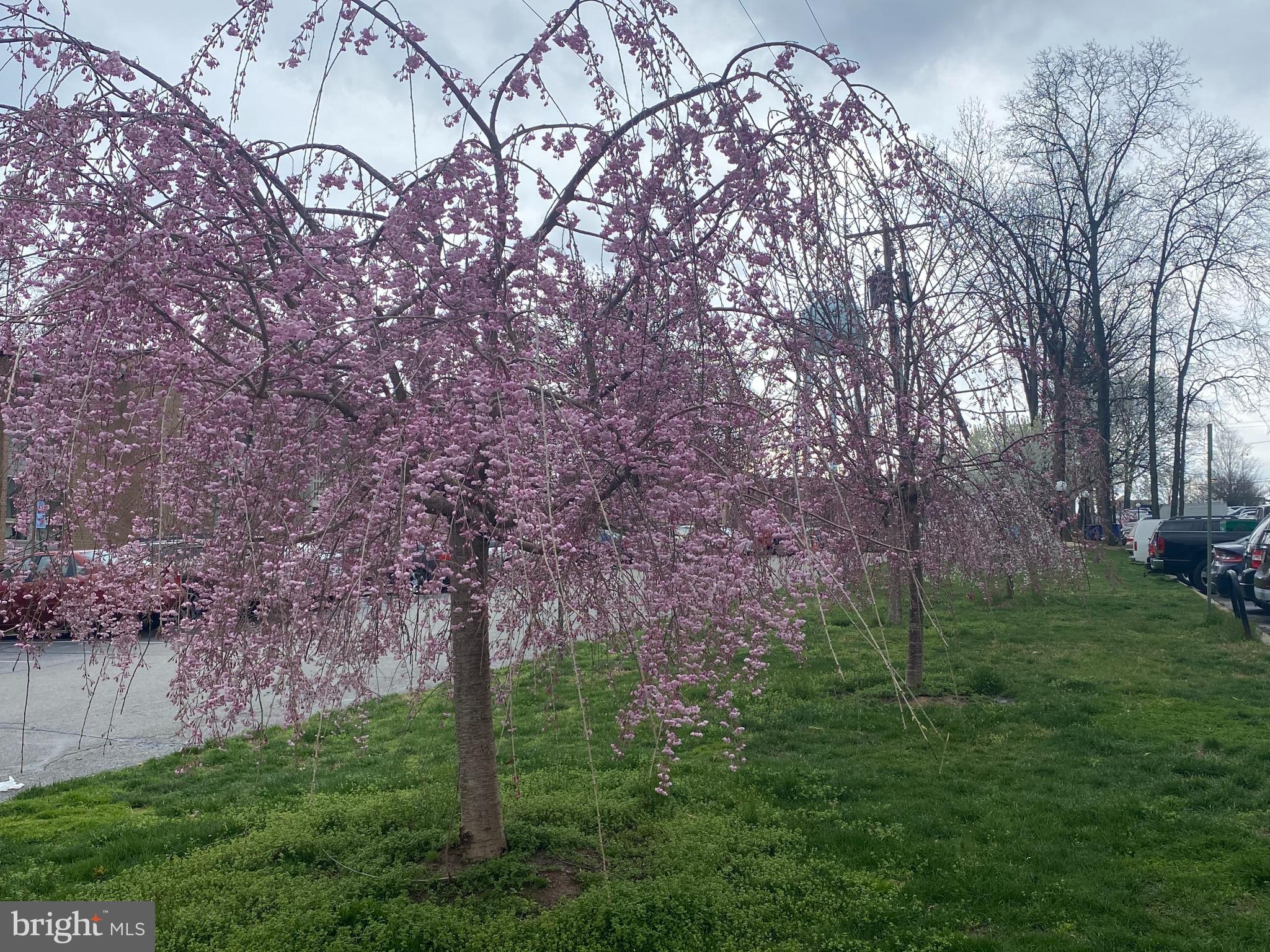 2205 Greenery Lane, Unit 1049 Silver Spring, MD 20906 - Photo 22 of 26 Outdoors