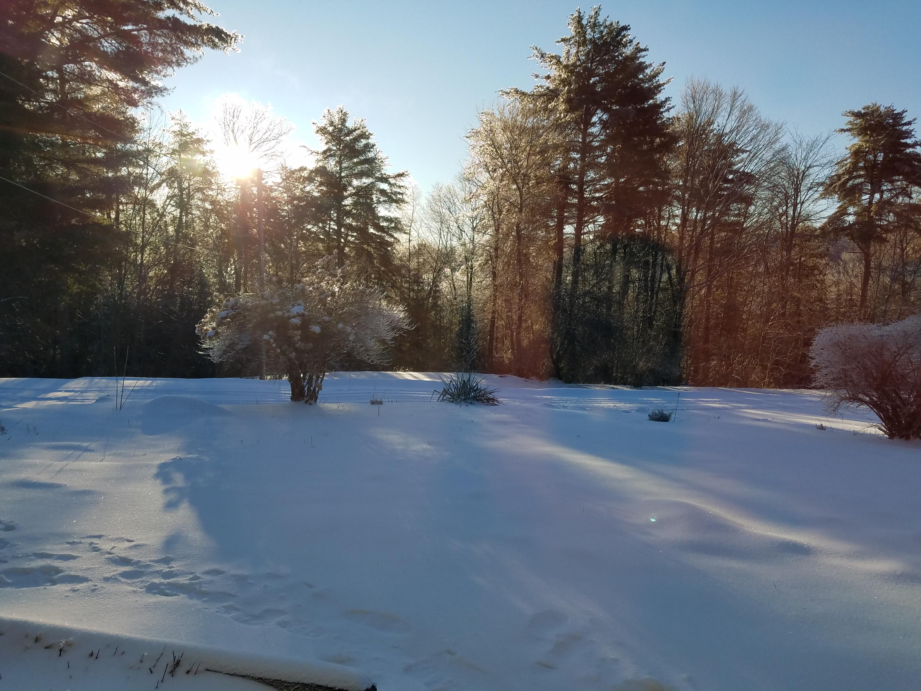 173 Mill Road Dedham, ME 04429 - Photo 55 of 65 20200208_074832