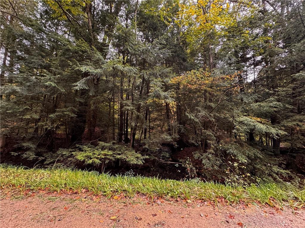 Lot 1 Dobbs Road Athens, PA 16438 - Photo 5 of 10 Gallery Image 5