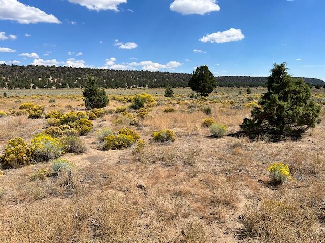 6520 Do Bend, OR 97701 - Photo 6 of 22 IMG_1813