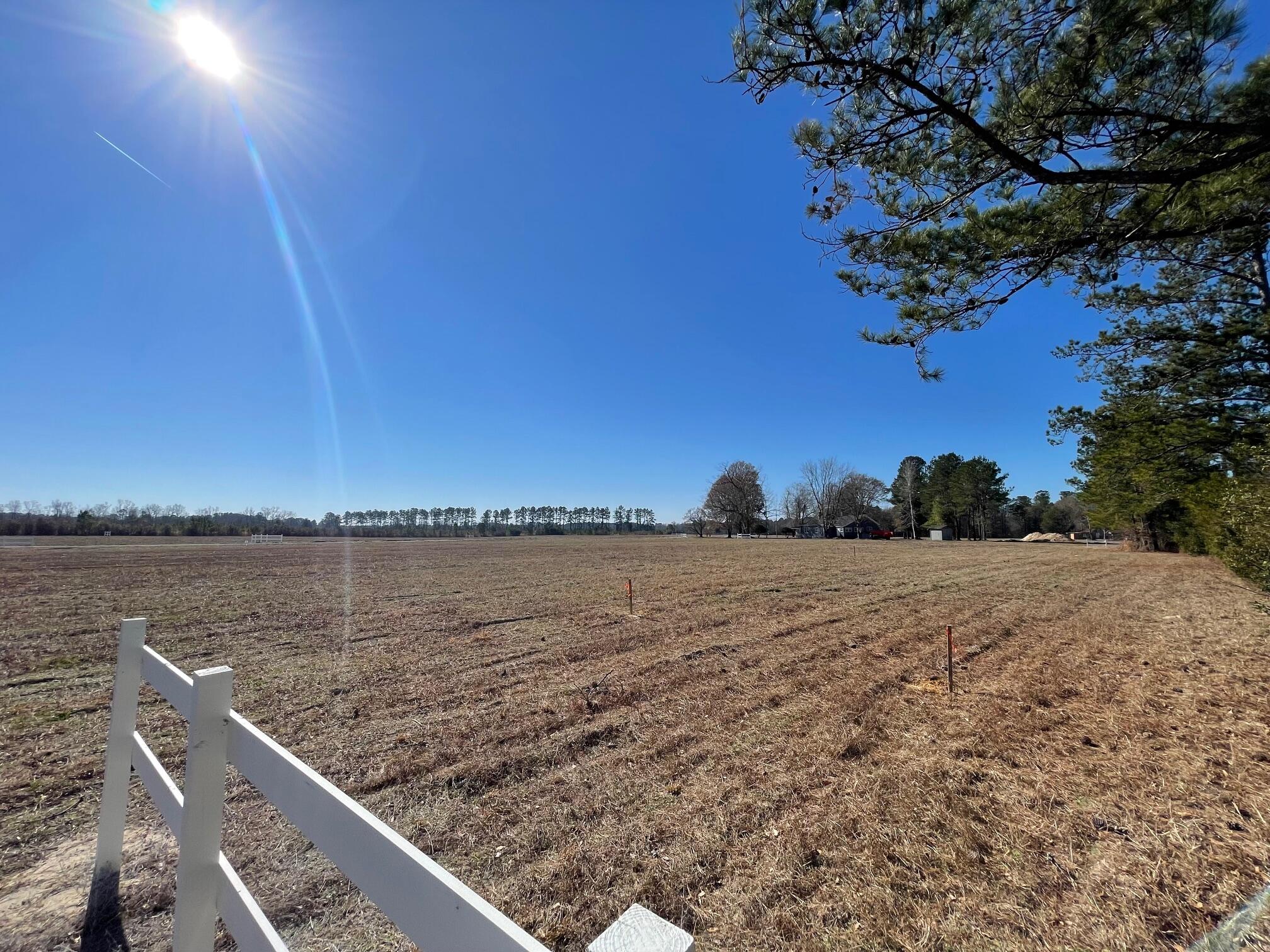 8 Rambling Lane Cross, SC 29436 - Photo 8 of 9 IMG_6696