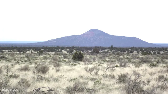 $9,000 | 2424 Valle Road, Williams, AZ 86046