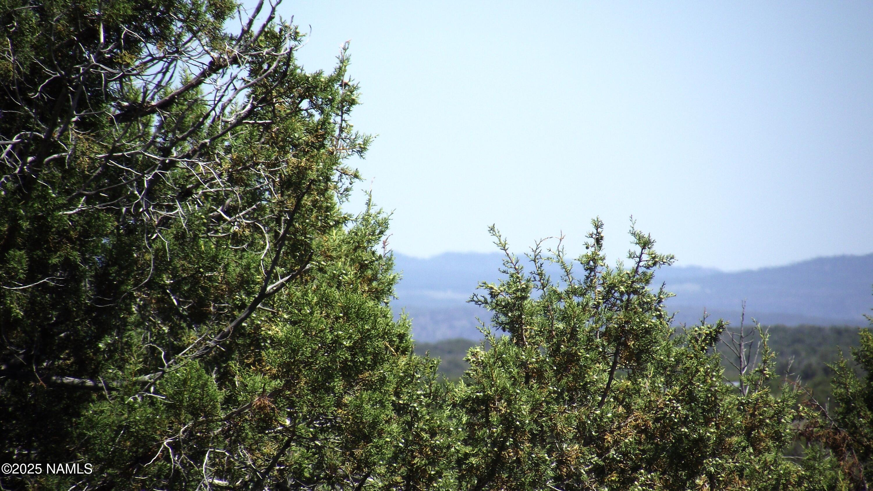 2424 Valle Road Williams, AZ 86046 - Photo 8 of 8 DSCF7001 1
