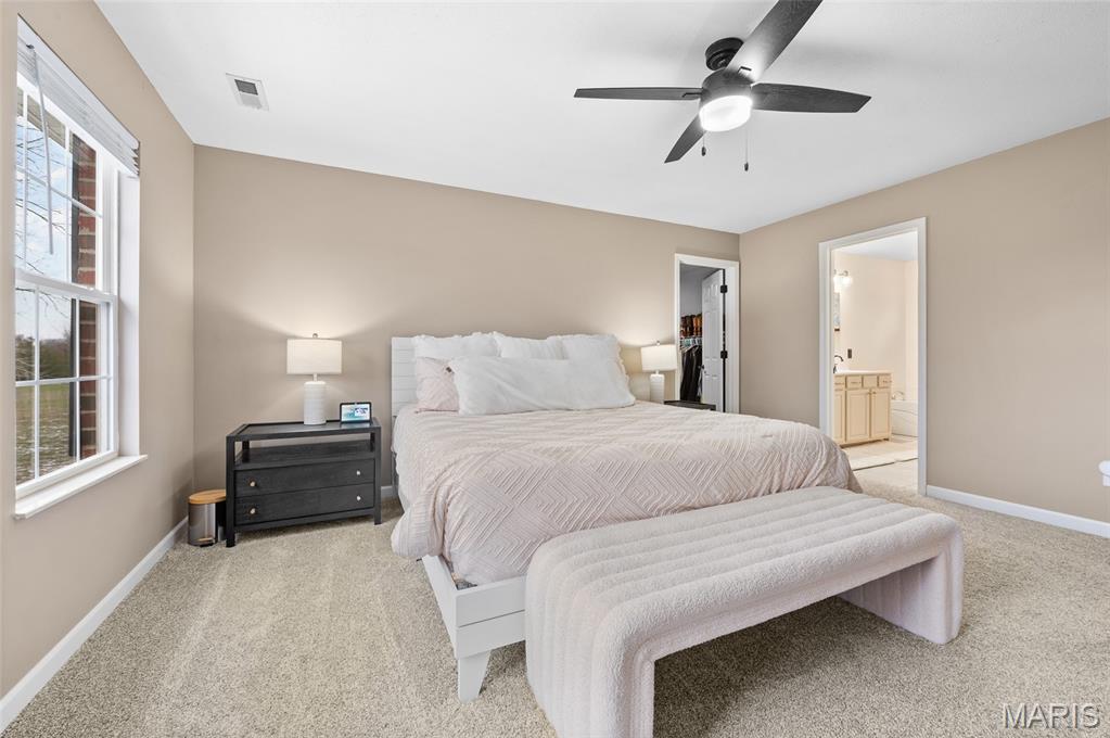 416 Telluride Drive Freeburg, IL 62243 - Photo 26 of 41