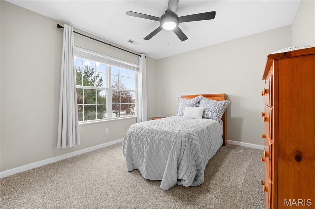 416 Telluride Drive Freeburg, IL 62243 - Photo 32 of 41