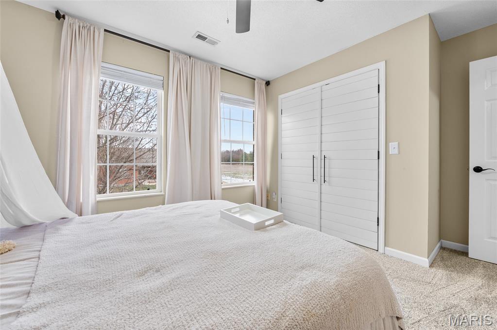 416 Telluride Drive Freeburg, IL 62243 - Photo 36 of 41