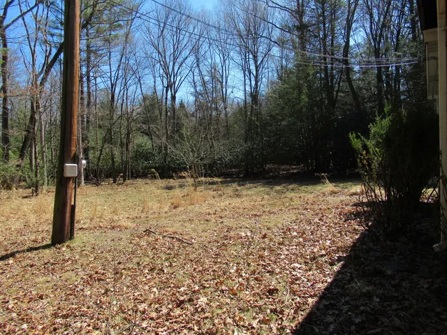 a view of a backyard with lawn chairs and couches