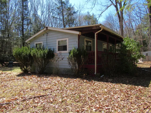a view of a forest with trees
