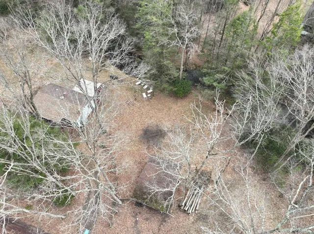 a view of a park with large trees