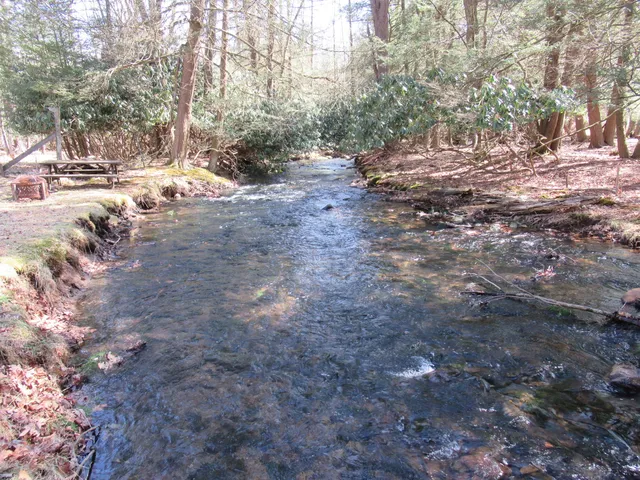 a view of dirt yard with a tree