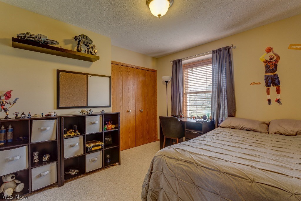 9866 Bainbridge Road Chagrin Falls, OH 44023 - Photo 21 of 32 Gallery Image 21