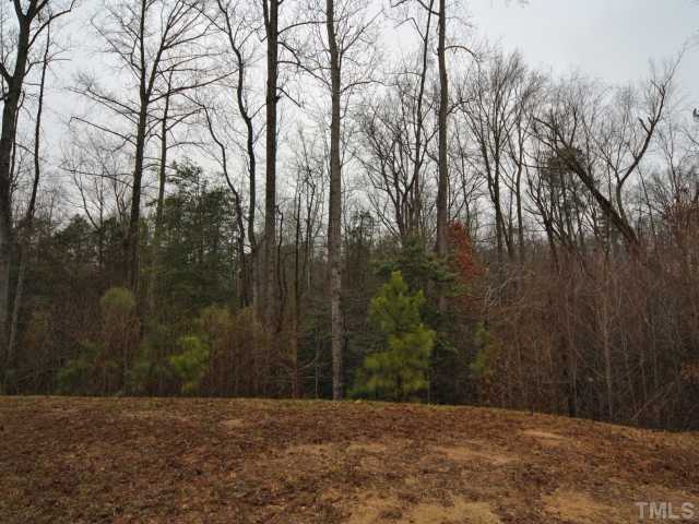 5805 Ricker Road Raleigh, NC 27610 - Photo 11 of 12 a view of backyard with green space