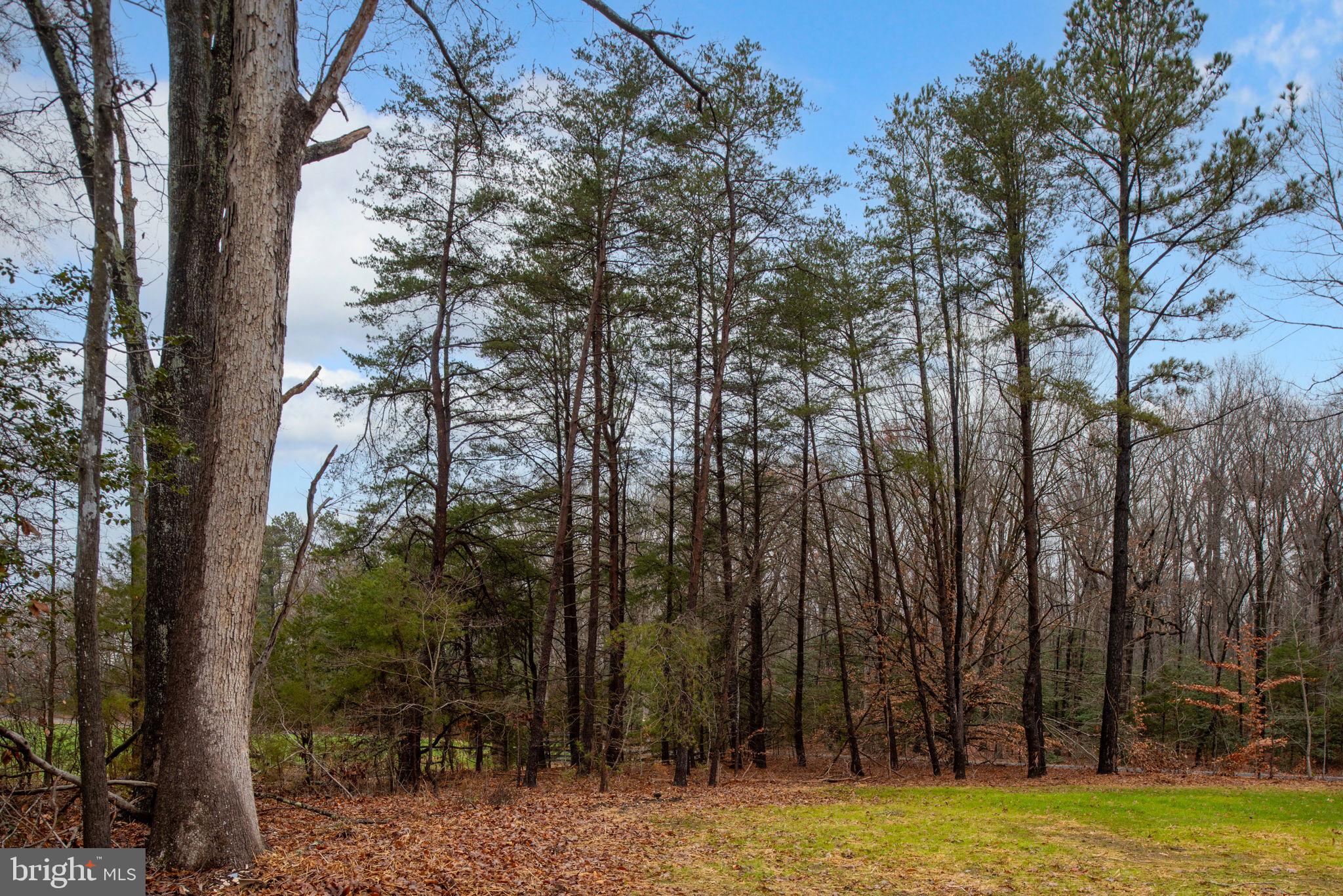 15072 Port Conway Road King George, VA 22485 - Photo 81 of 85 Gallery Image 81