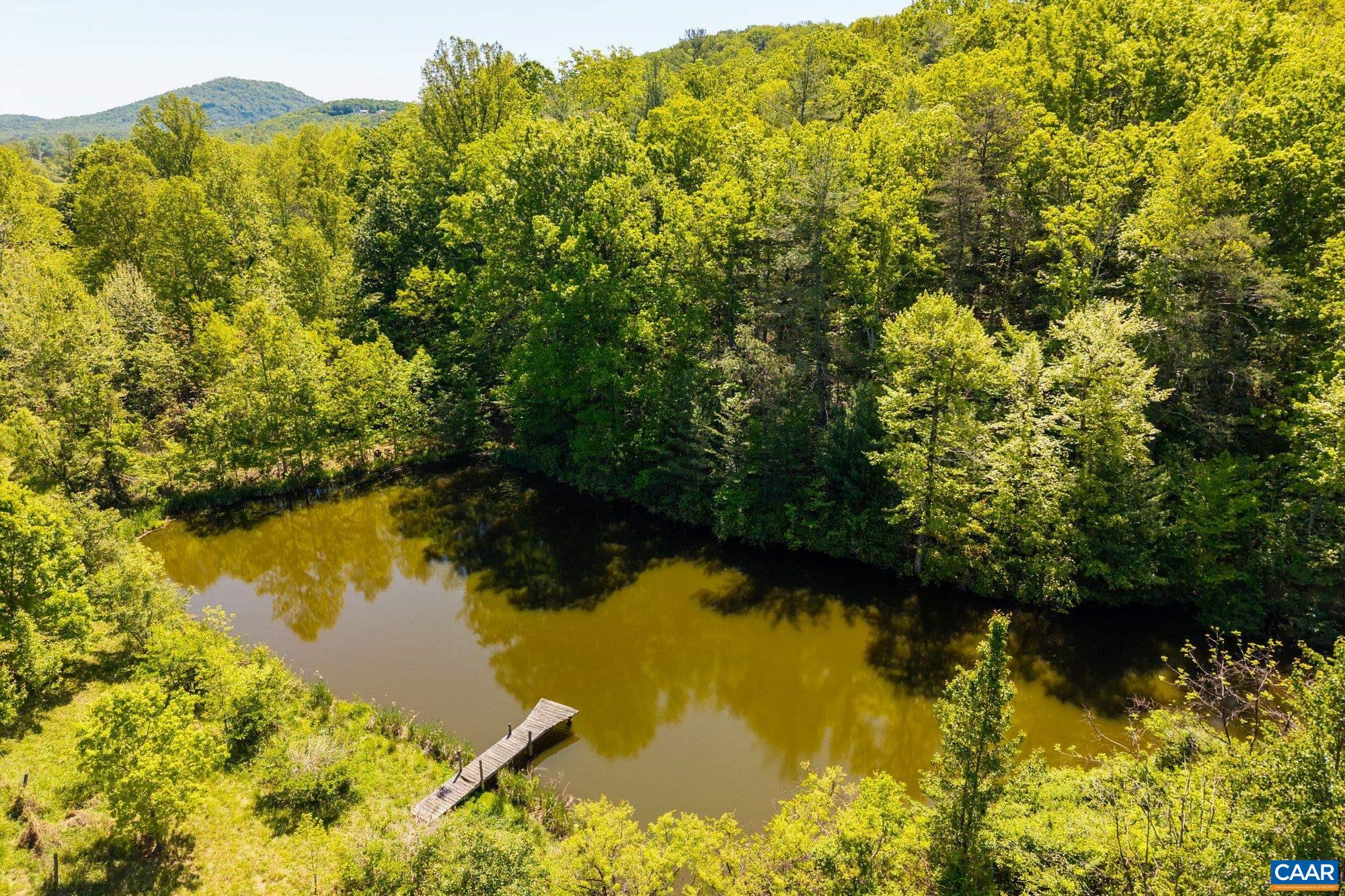 2255 Boonesville Road Dyke, VA 22935 - Photo 12 of 34 a view of lake