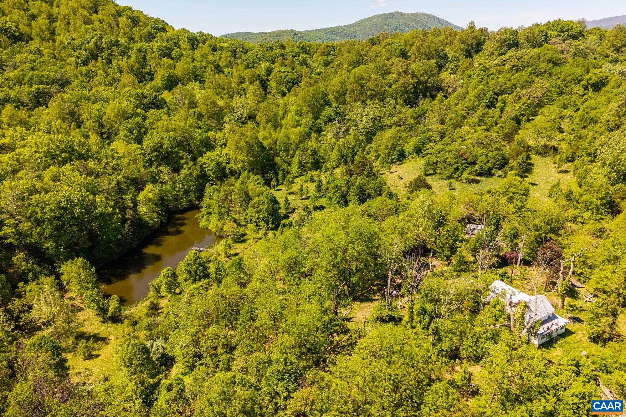2255 Boonesville Road Dyke, VA 22935 - Photo 17 of 34 a view of a large yard with lots of trees