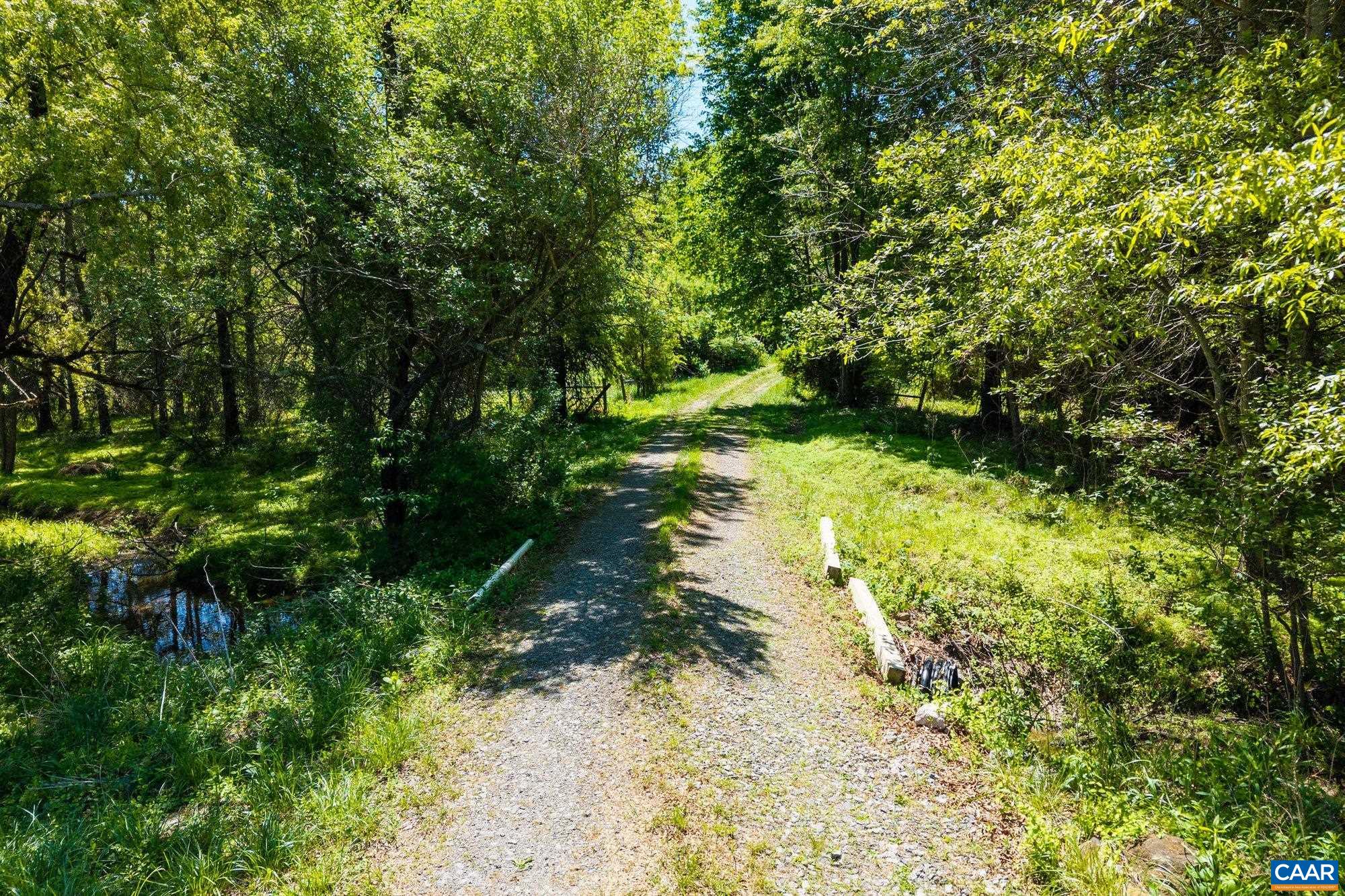 2255 Boonesville Road Dyke, VA 22935 - Photo 24 of 34 a view of yard