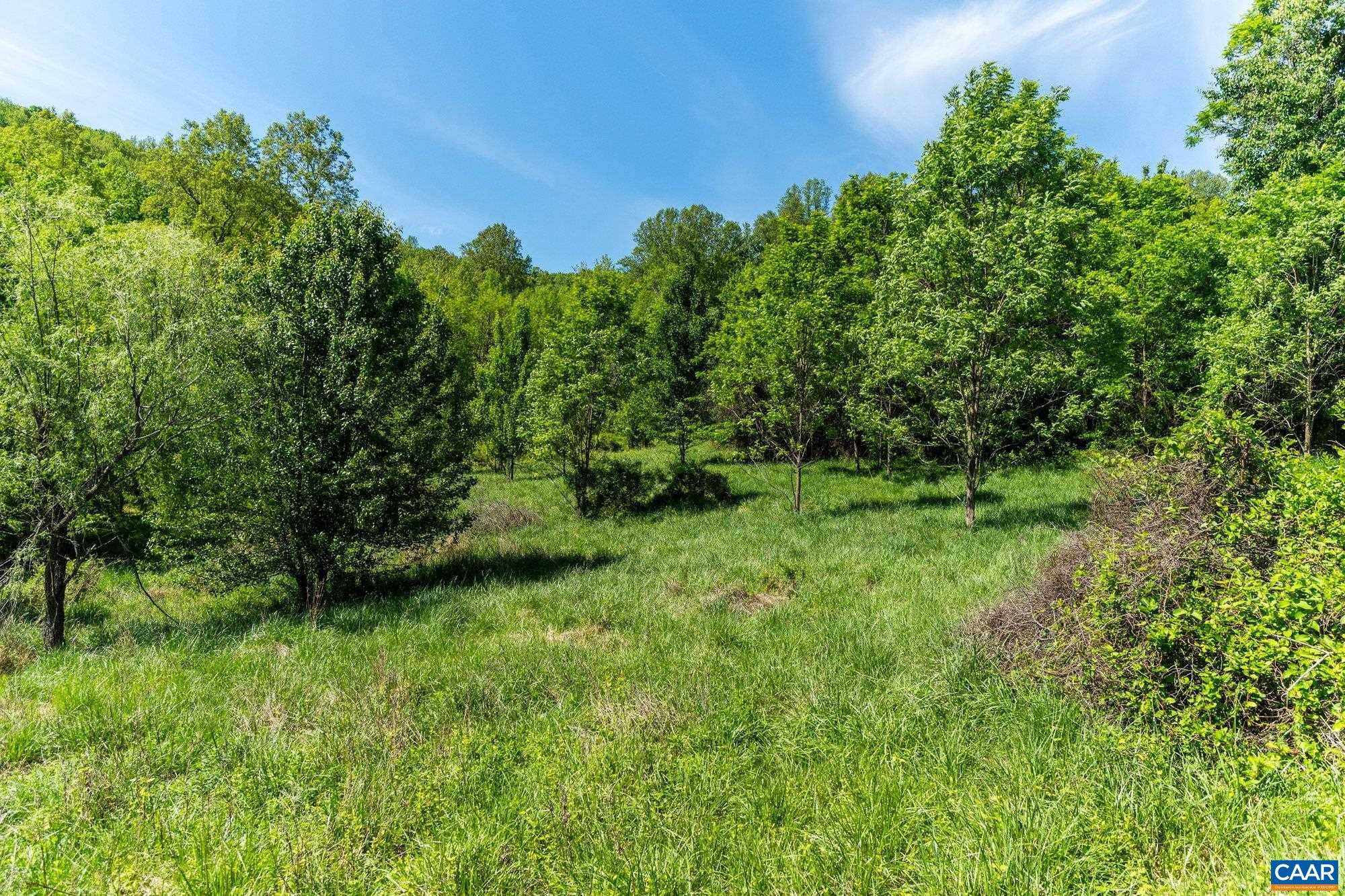 2255 Boonesville Road Dyke, VA 22935 - Photo 27 of 34 a view of a lush green space