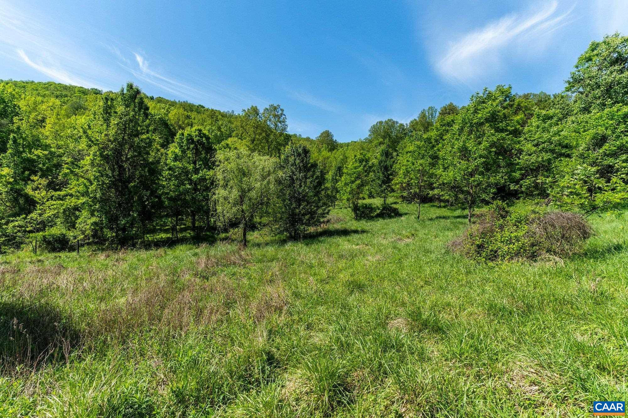 2255 Boonesville Road Dyke, VA 22935 - Photo 28 of 34 a view of a lush green space