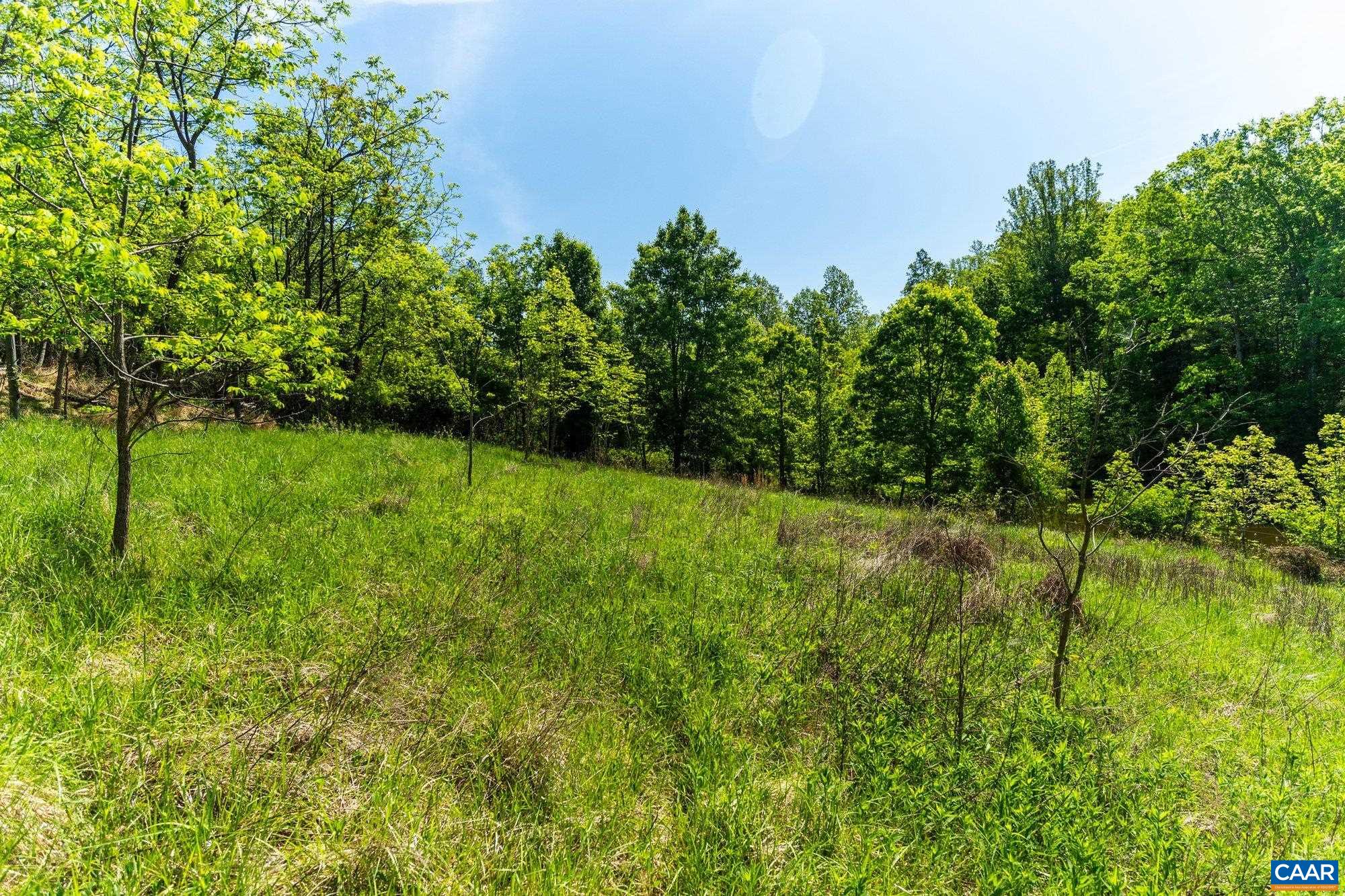 2255 Boonesville Road Dyke, VA 22935 - Photo 29 of 34 a yard with lots of green space