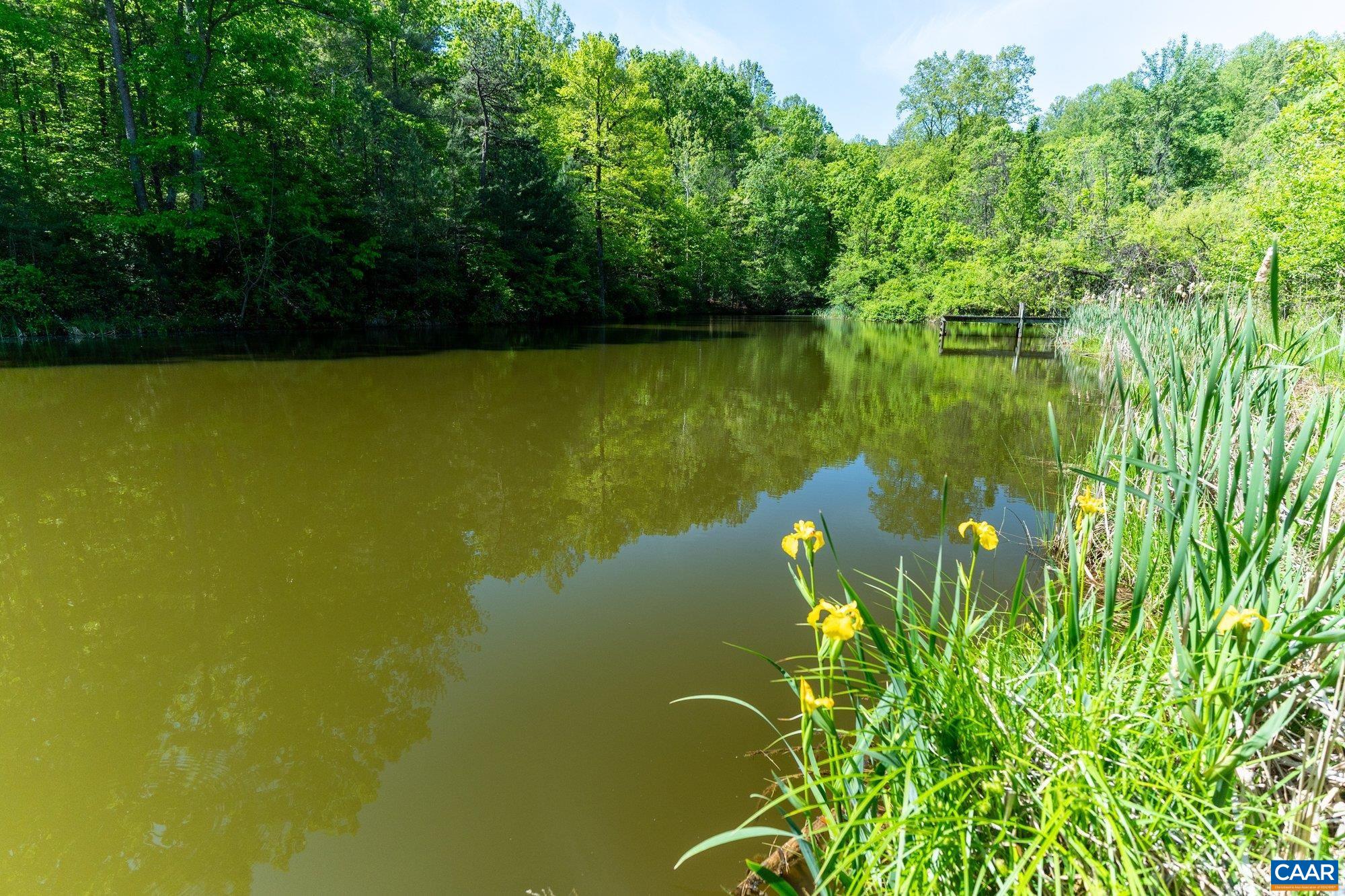 2255 Boonesville Road Dyke, VA 22935 - Photo 32 of 34 a view of a lake with a yard
