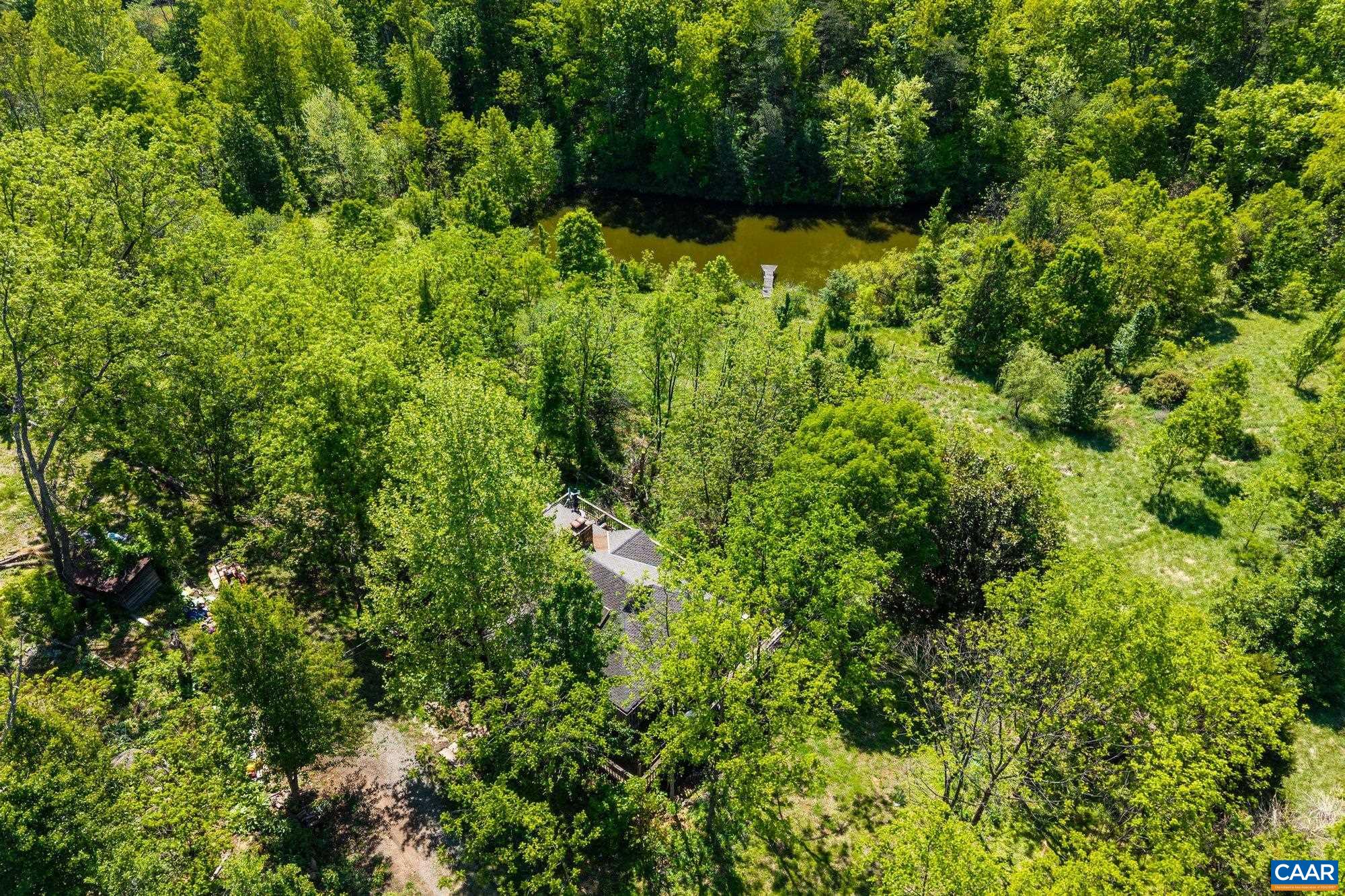 2255 Boonesville Road Dyke, VA 22935 - Photo 9 of 34 a view of a lush green forest