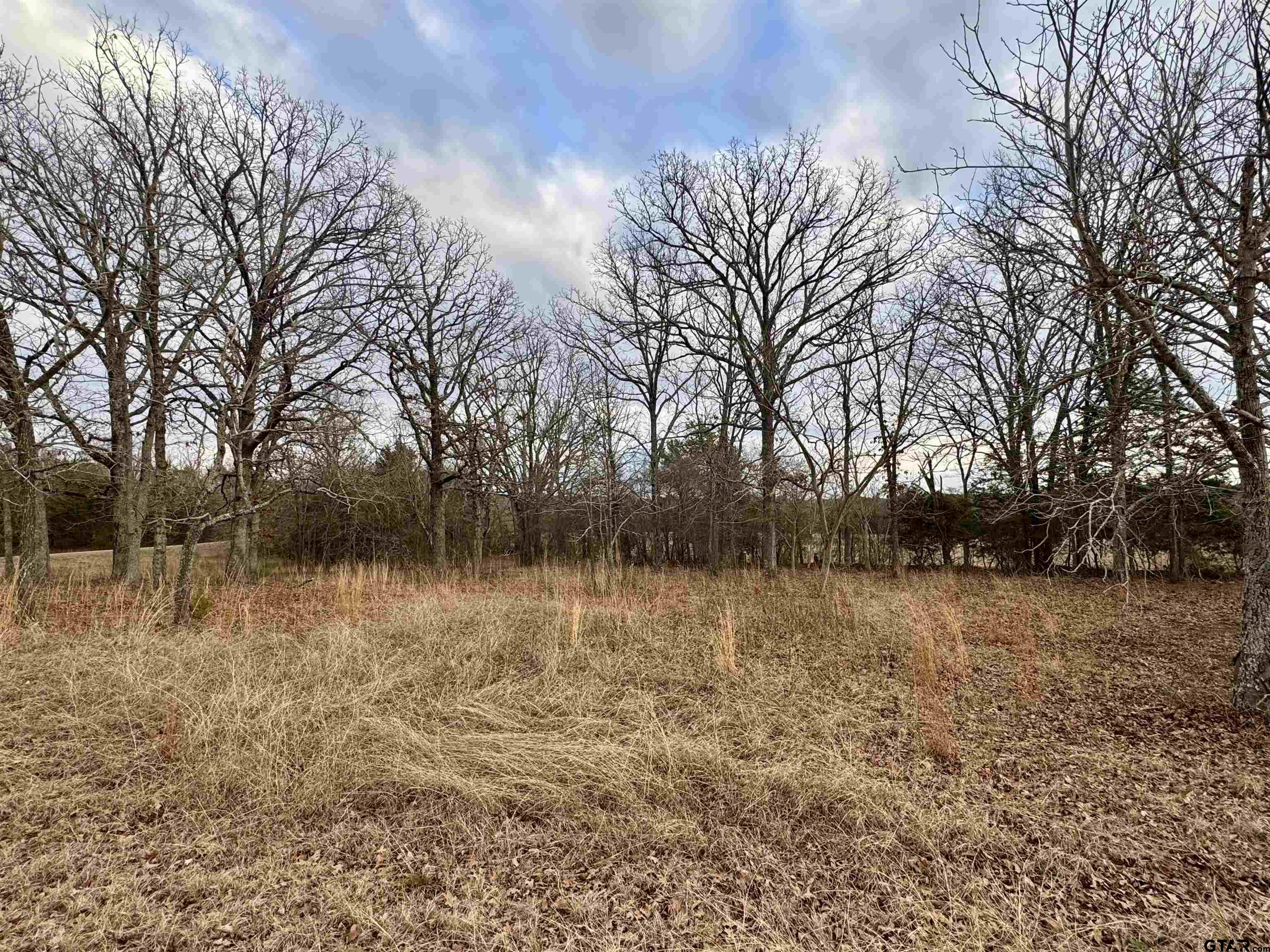 a view of patio with a yard
