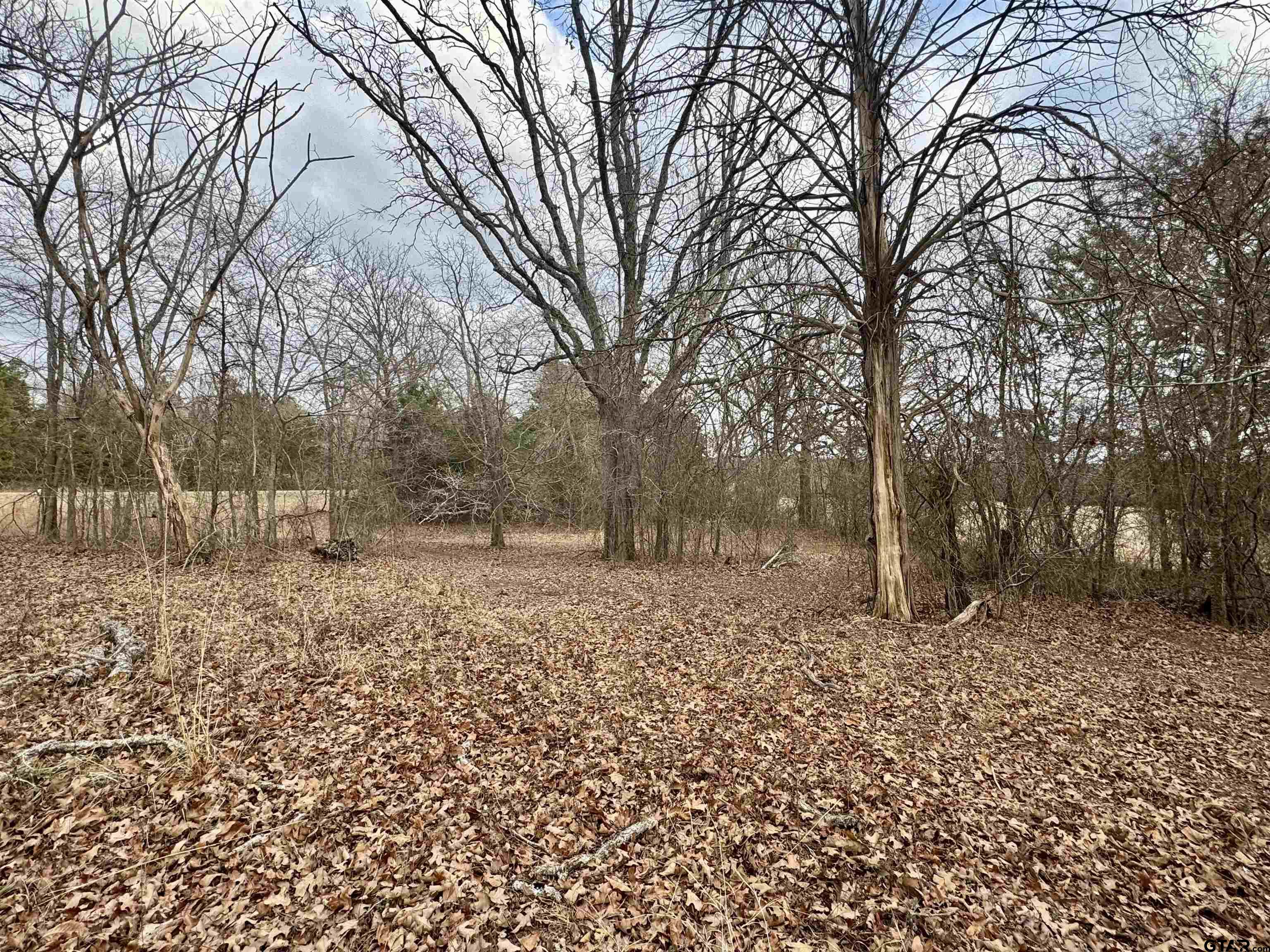 198 Co Road Ben Wheeler, TX 75754 - Photo 2 of 9 a fire hydrant in middle of the snow