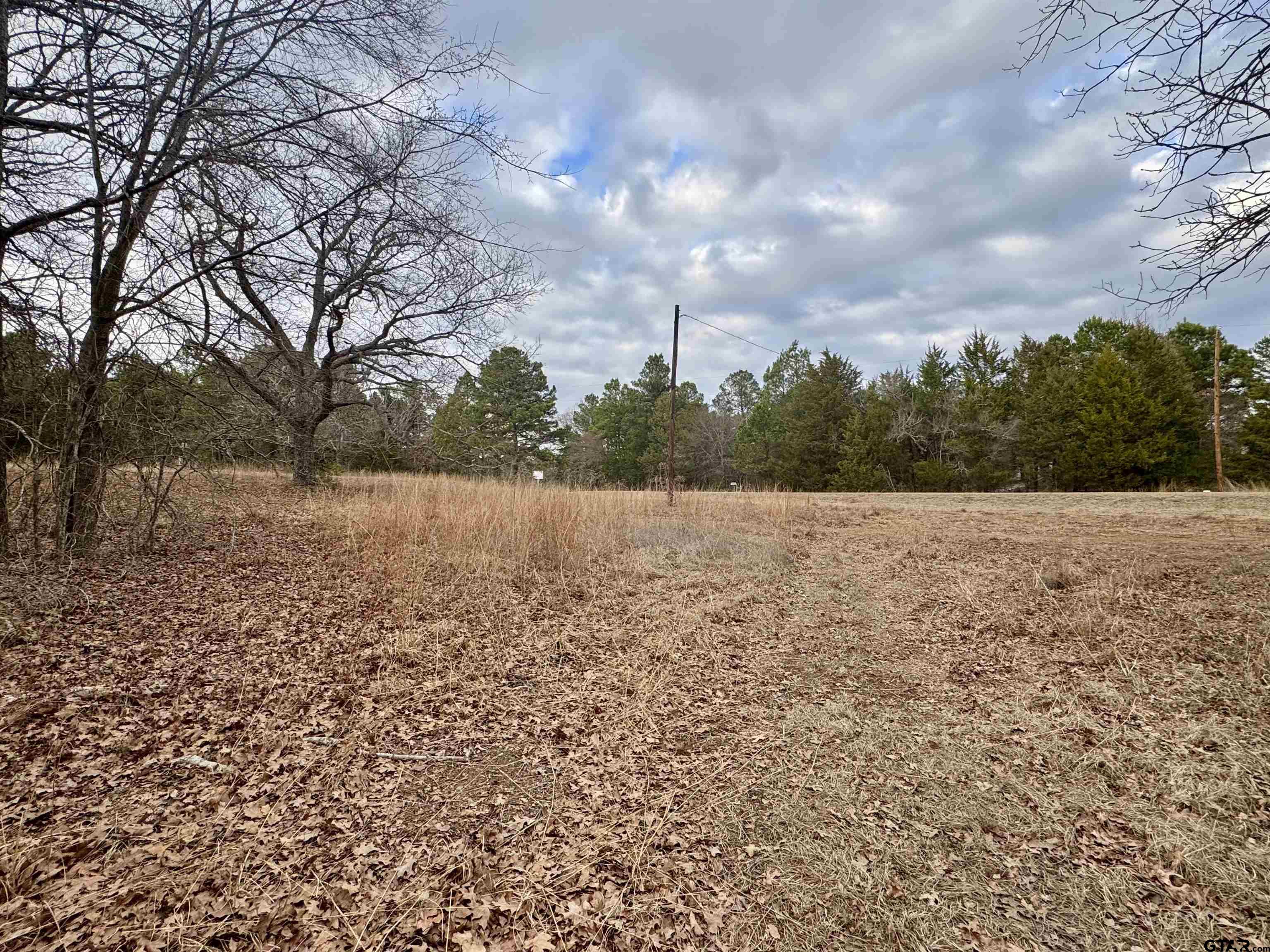 198 Co Road Ben Wheeler, TX 75754 - Photo 3 of 9 a view of lake with outdoor space