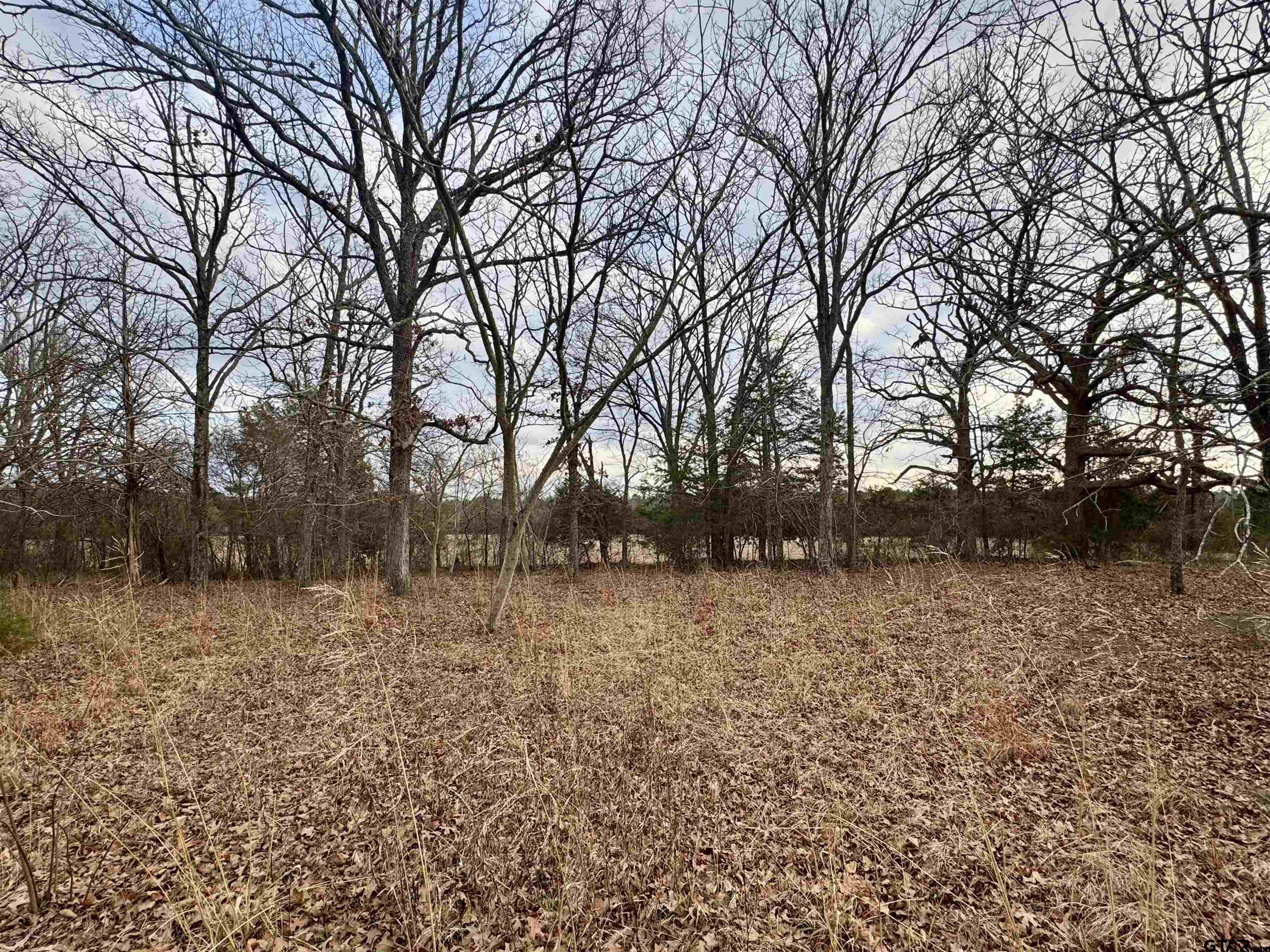 198 Co Road Ben Wheeler, TX 75754 - Photo 6 of 9 a backyard of a house with lots of green space