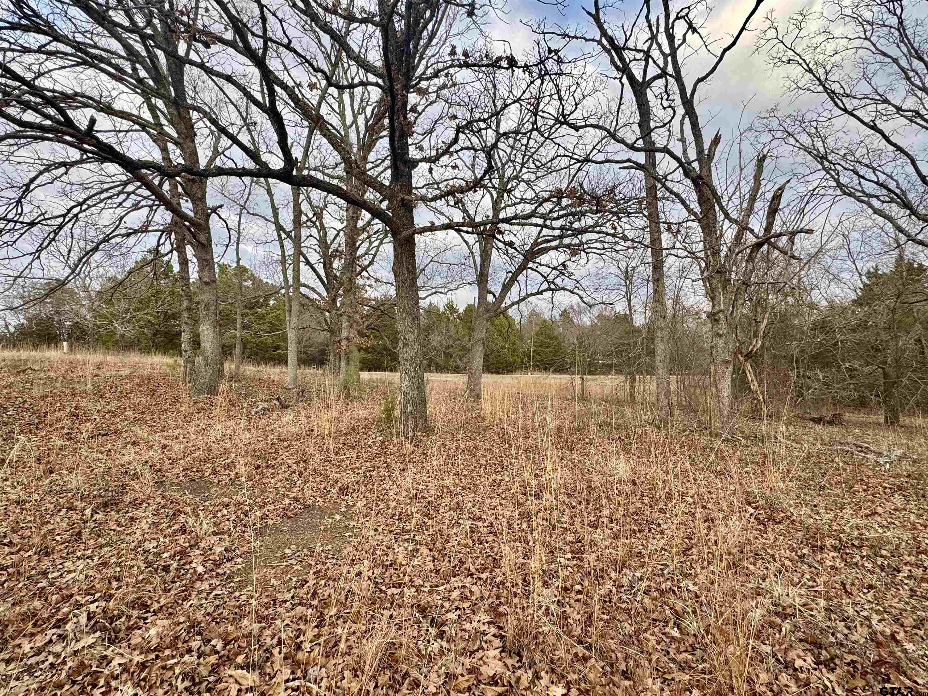 198 Co Road Ben Wheeler, TX 75754 - Photo 7 of 9 a view of yard with green space