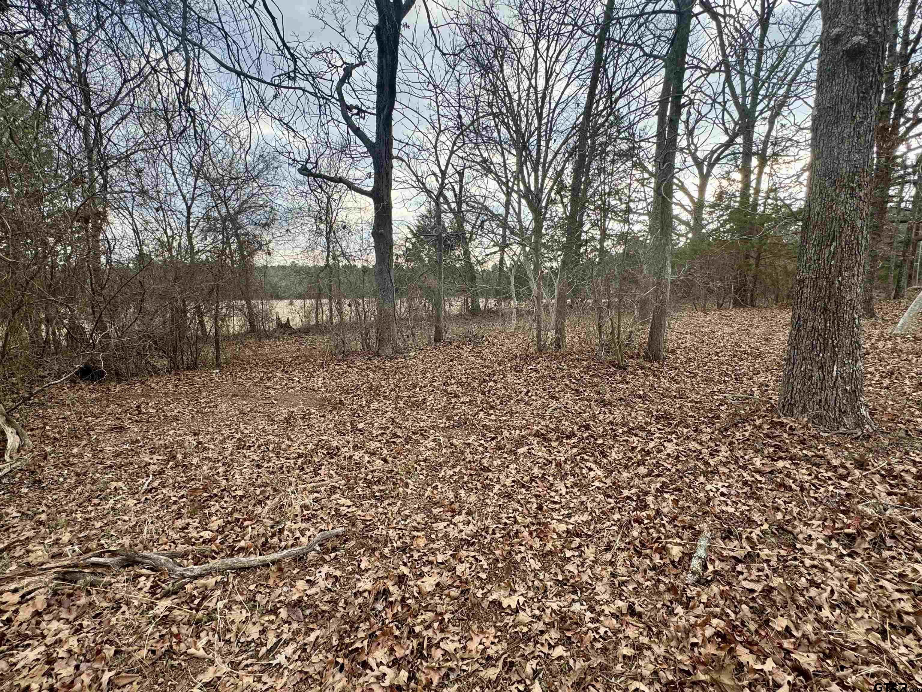 198 Co Road Ben Wheeler, TX 75754 - Photo 8 of 9 a view of a backyard with large trees