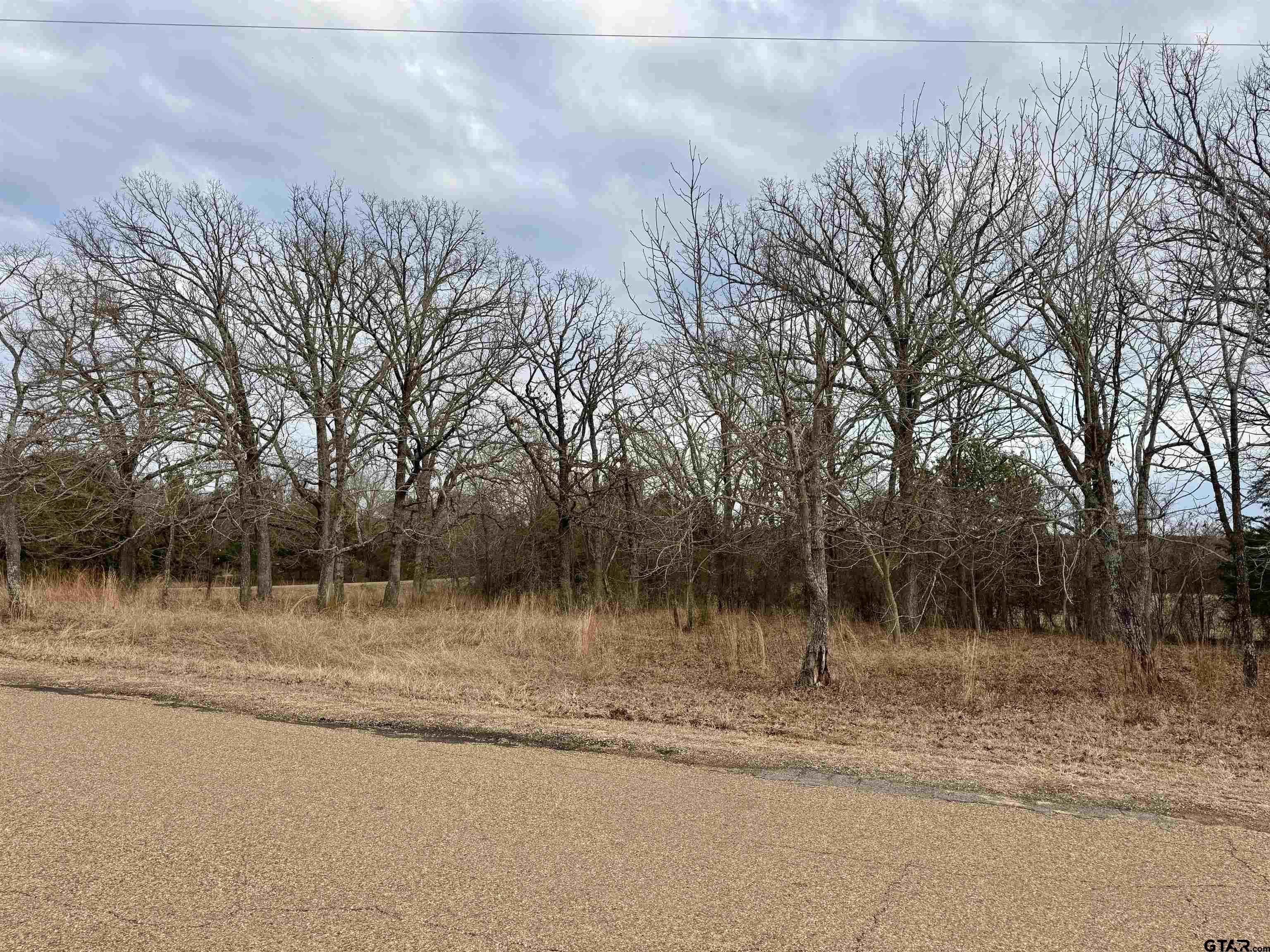 198 Co Road Ben Wheeler, TX 75754 - Photo 9 of 9 a view of a yard with large trees