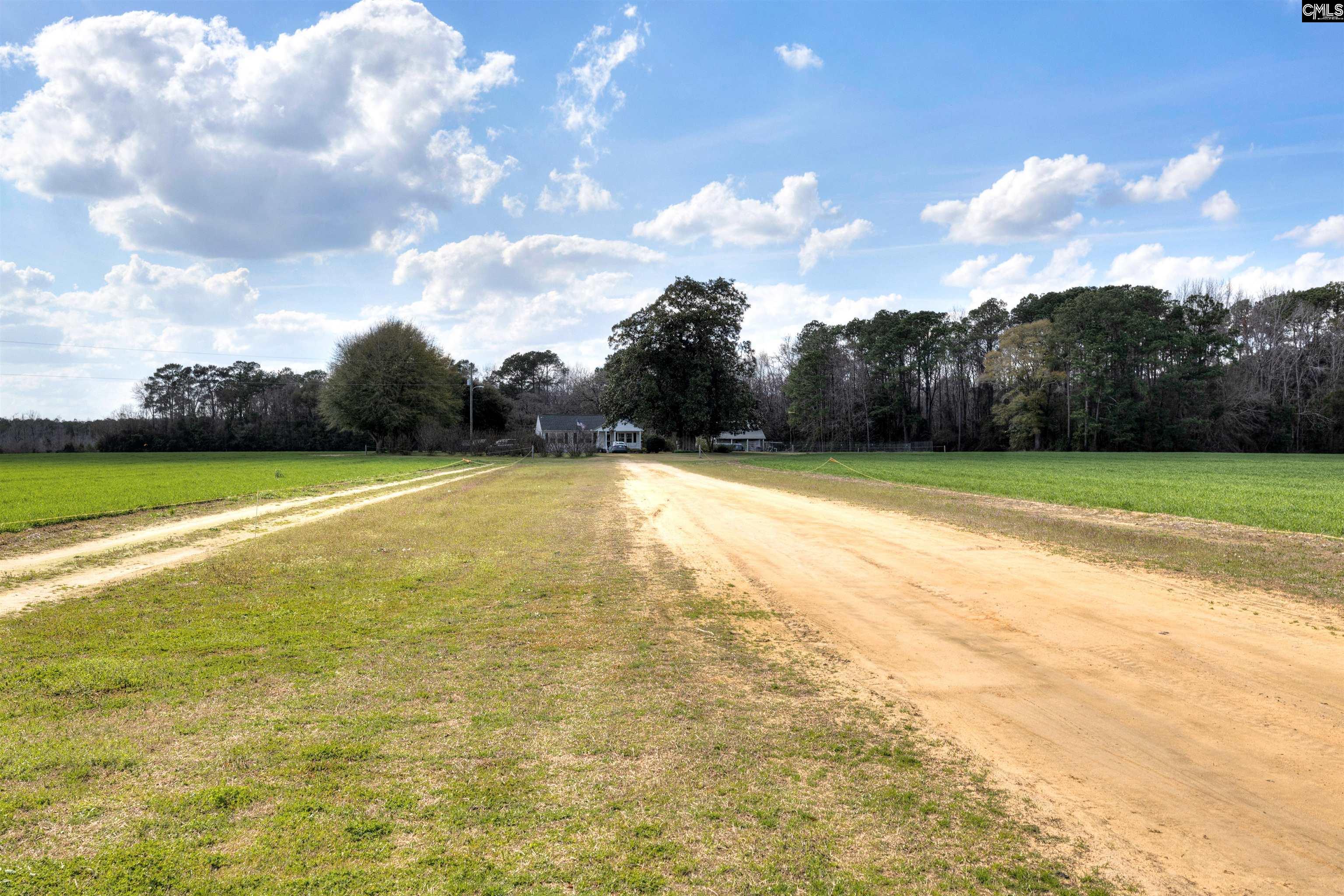1404 Dog Island Road Bishopville, SC 29010 - Photo 3 of 21